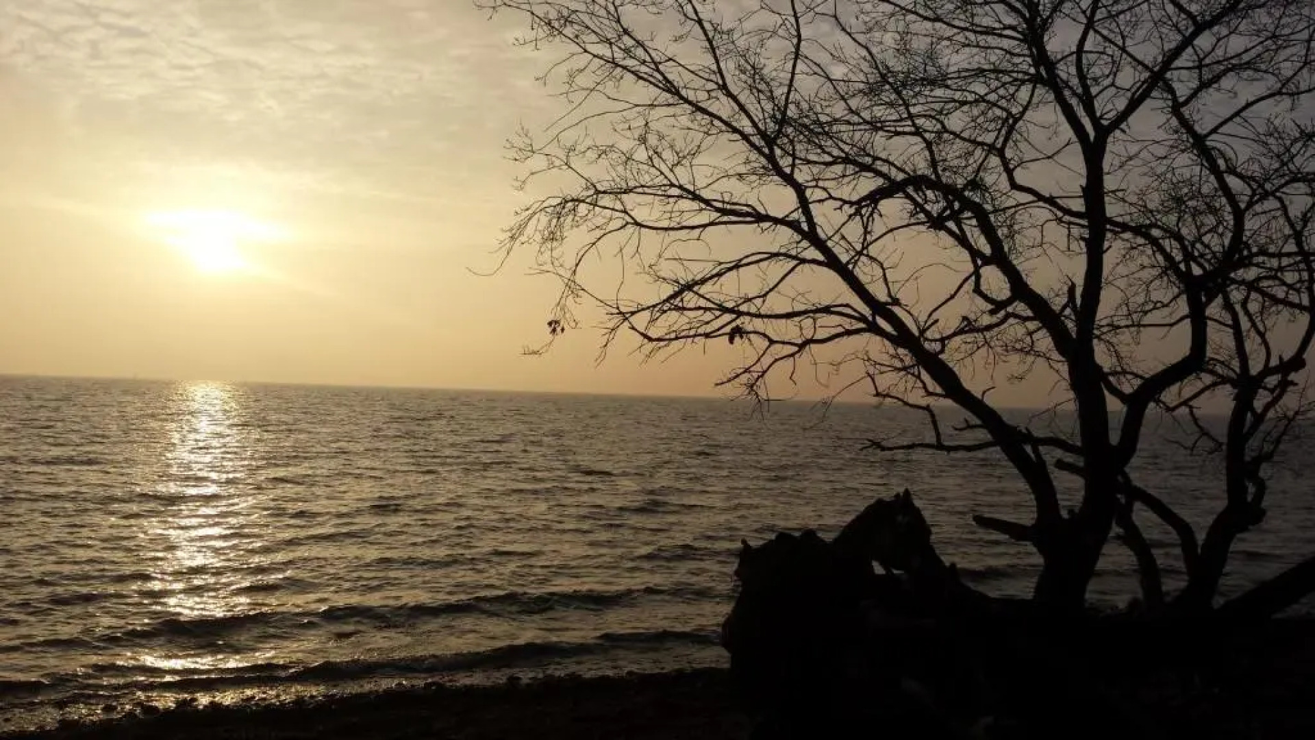 Ferienhaus Heimathafen