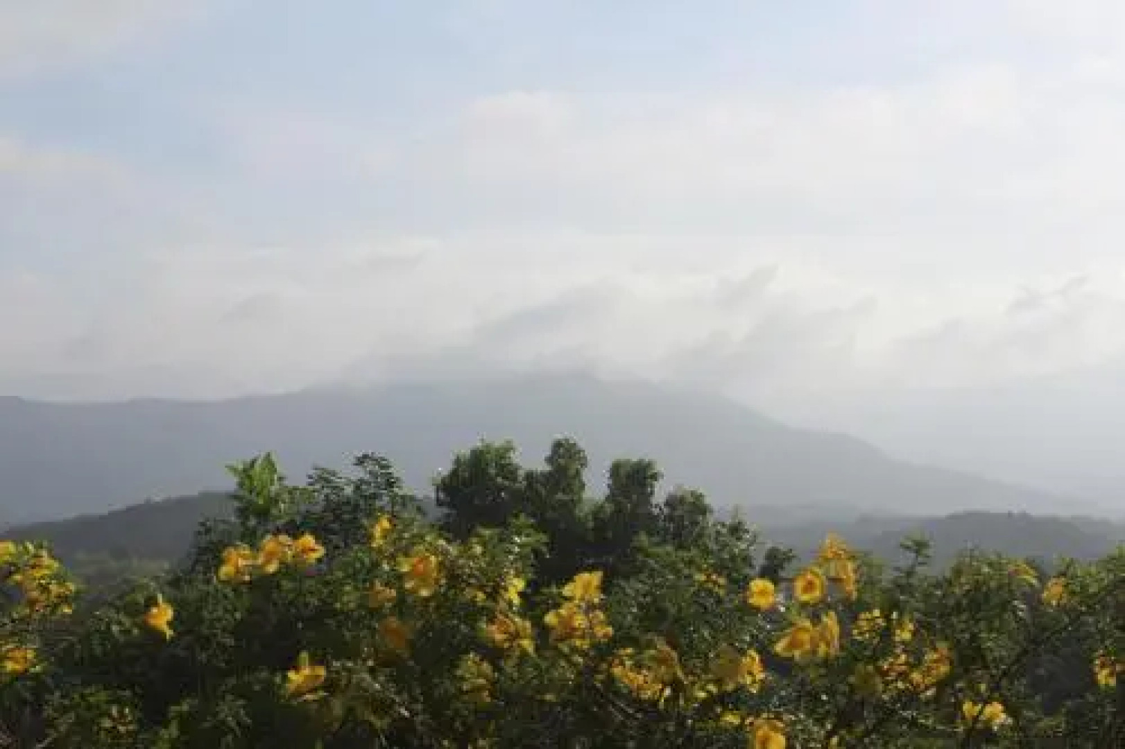 Bio Veda Ayurvedic Hill resort