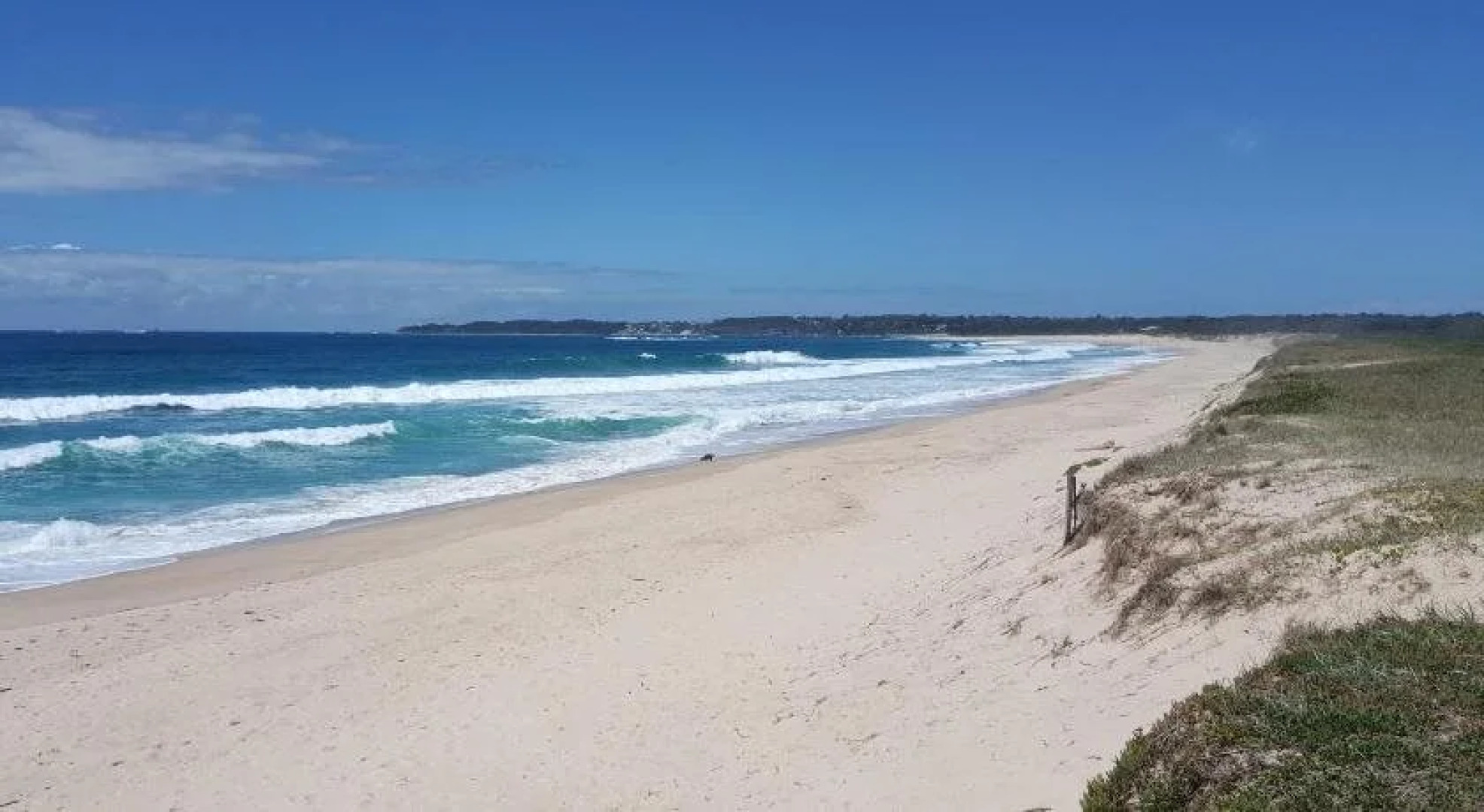 Hibiscus Lakeside Motel