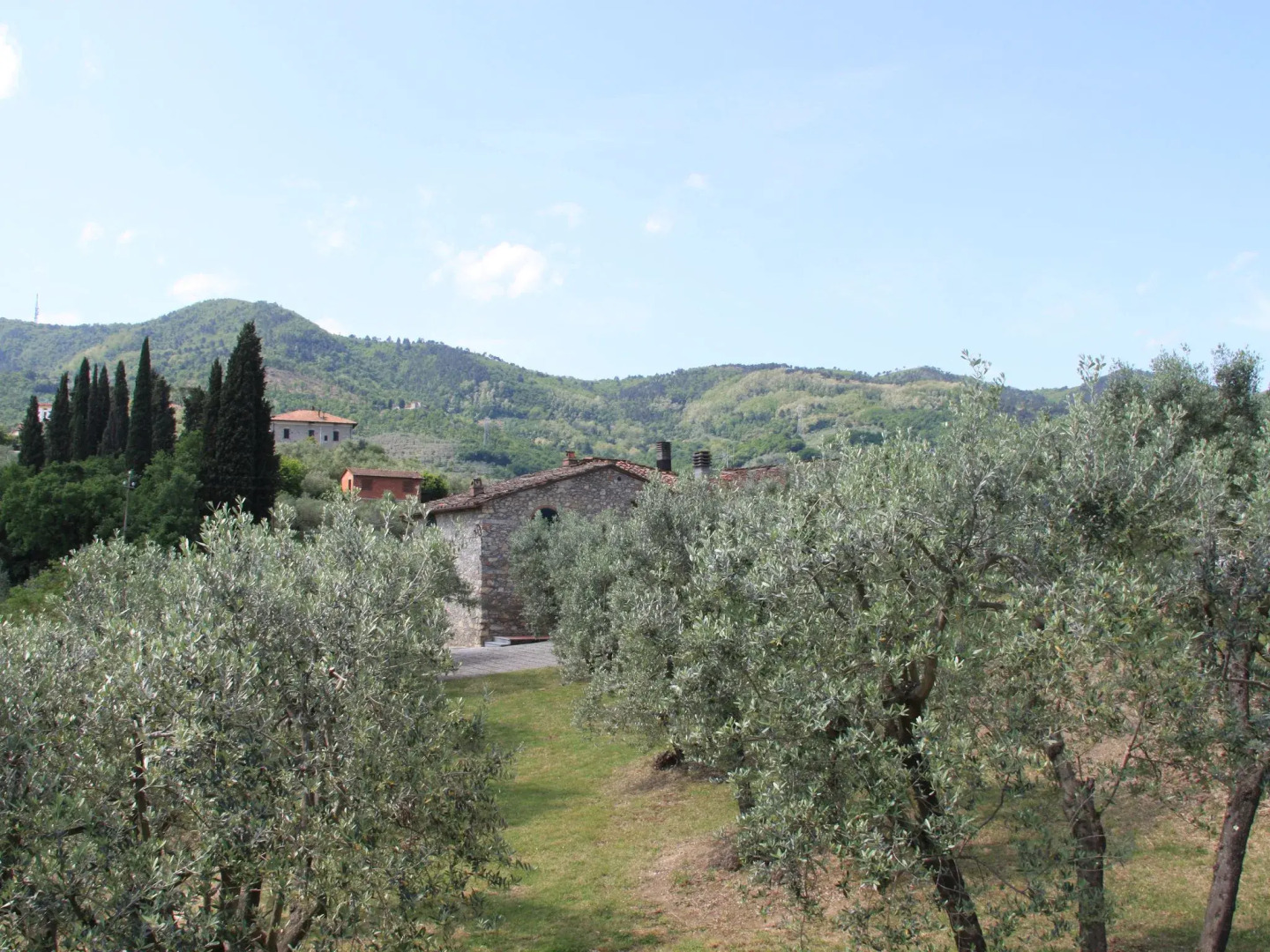 Farmhouse Abode With Pool and Tuscan Charm