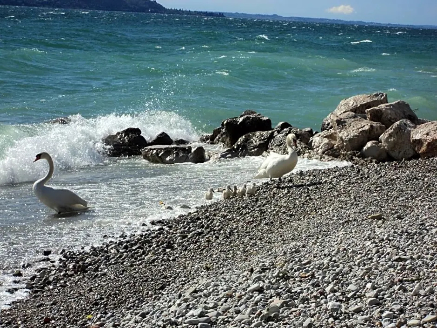 Bed & Breakfast Giardini di Corte