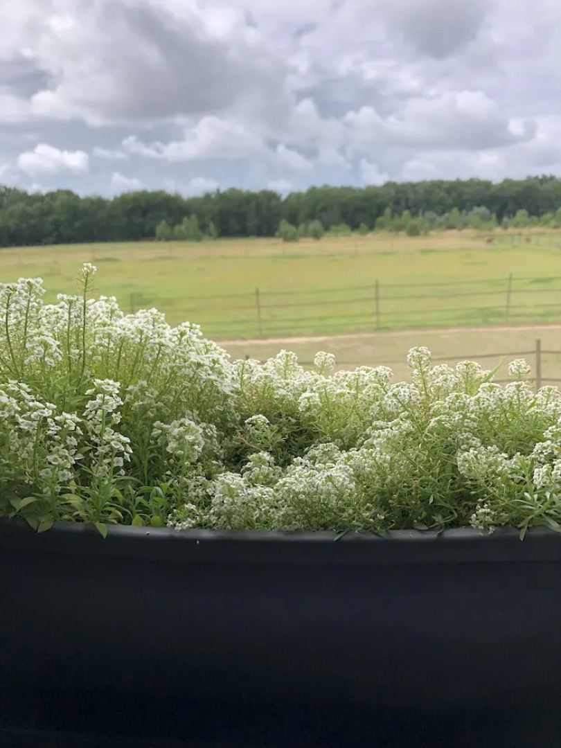 Gîte - Grand studio contemporain