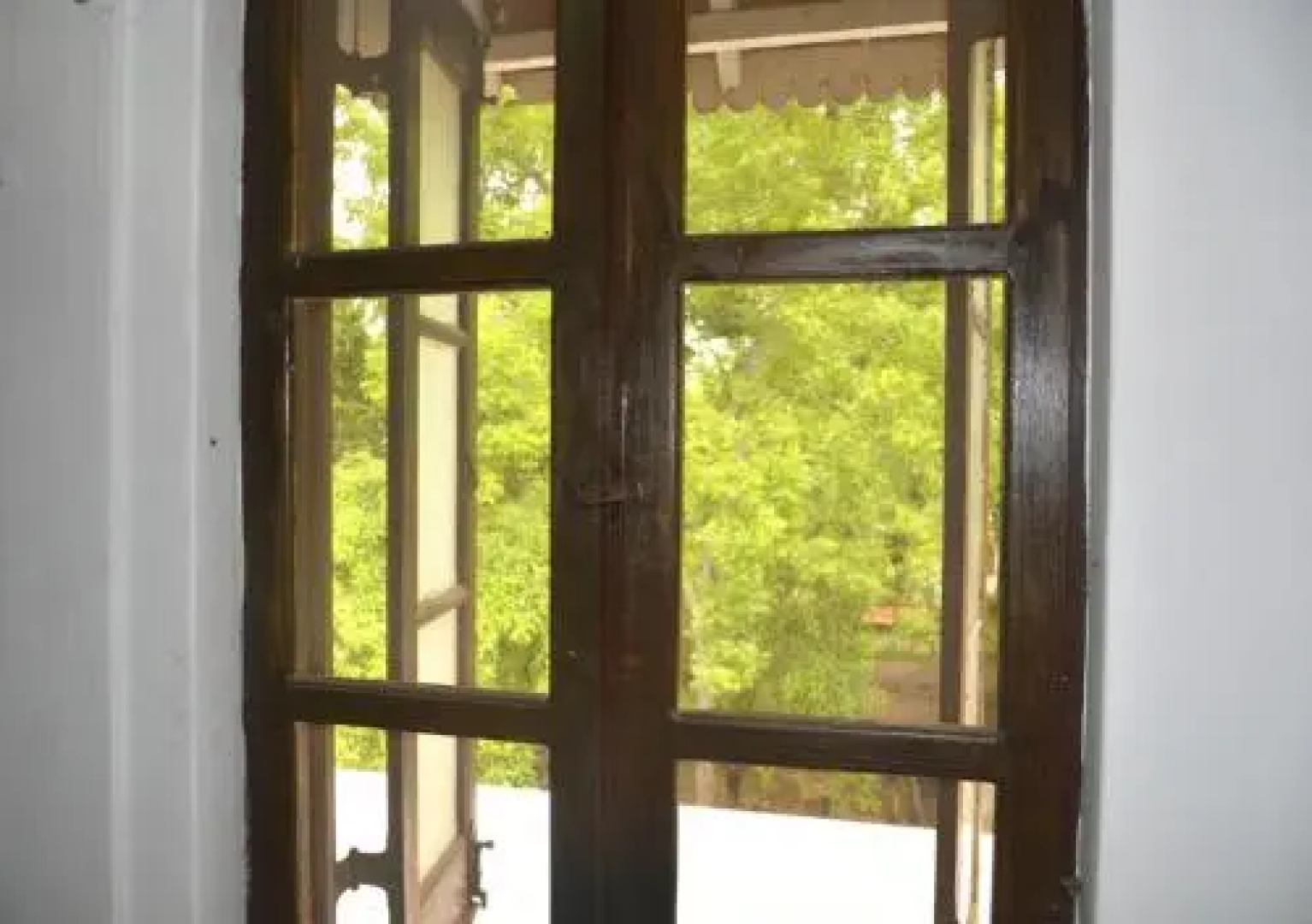 Fig and Gecko Hostel