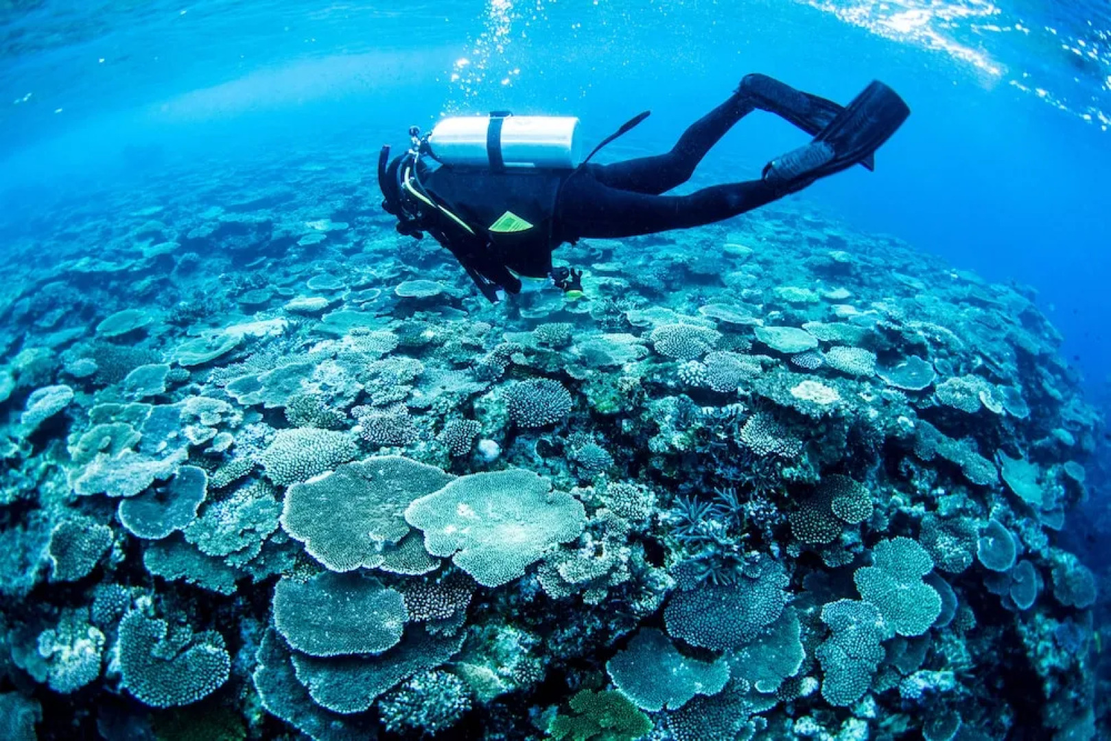 Zerogravity koniya clubhouse