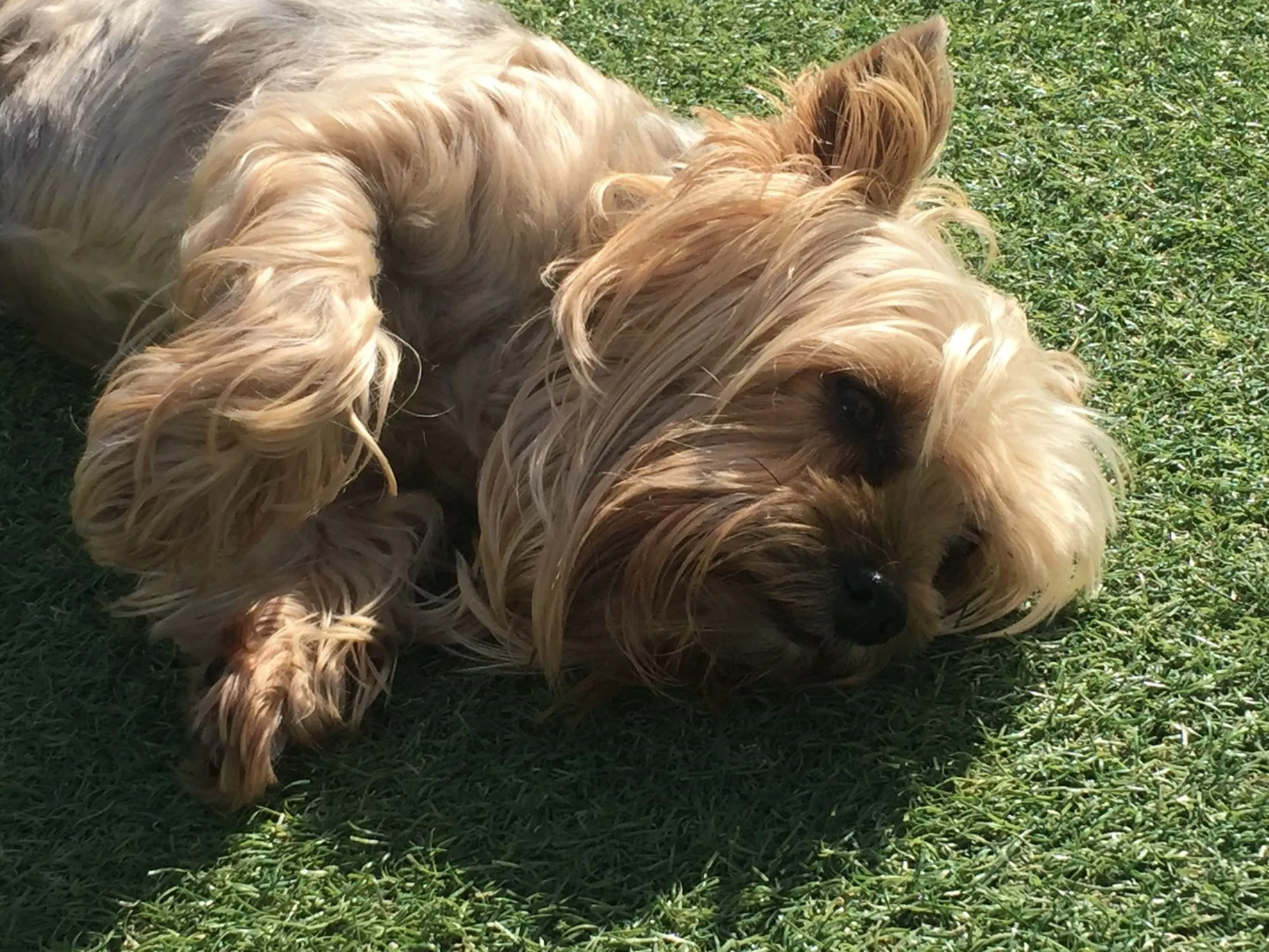 Abalone Place Guest House