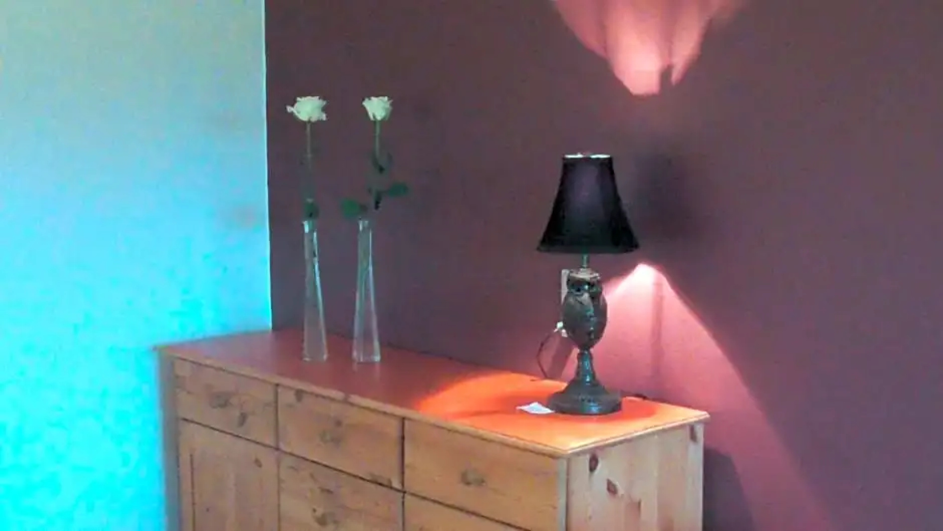 Djurs-BnB - Rimsøhuset