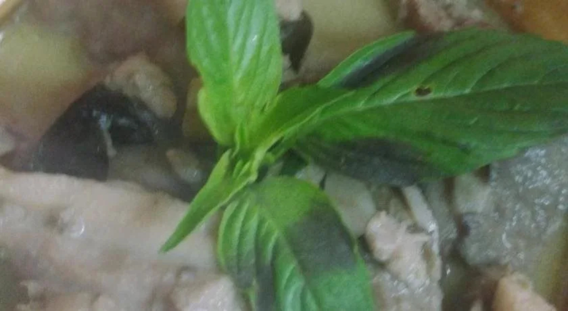 Gasthof zum grnen Baum