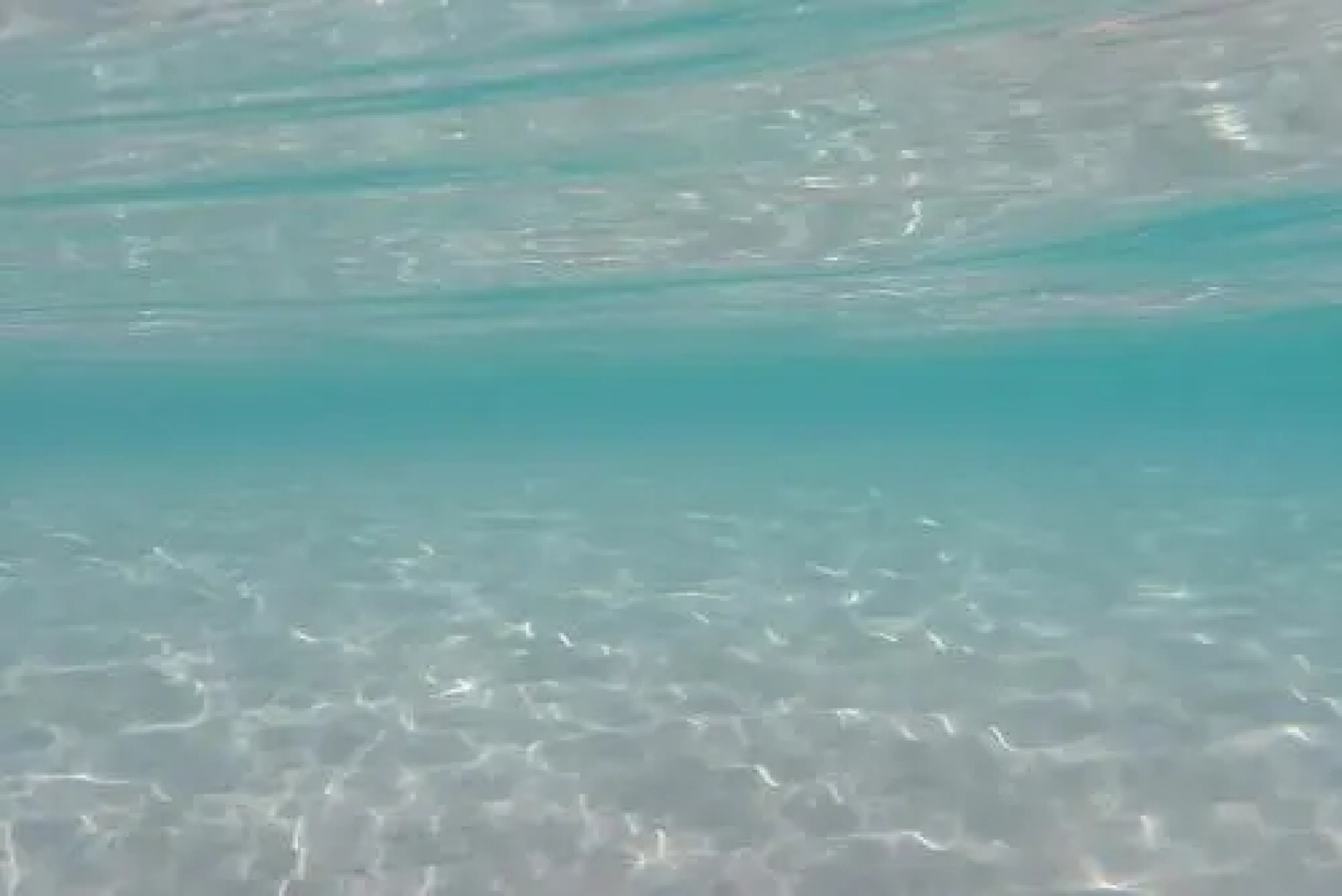 Apartment with View M206