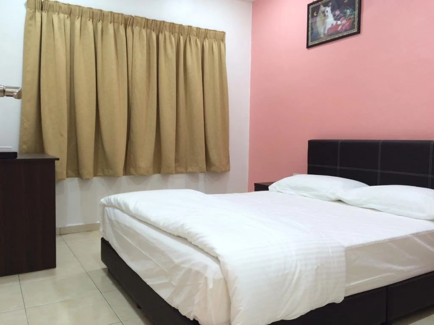 Lazy Bear Sleeping Place