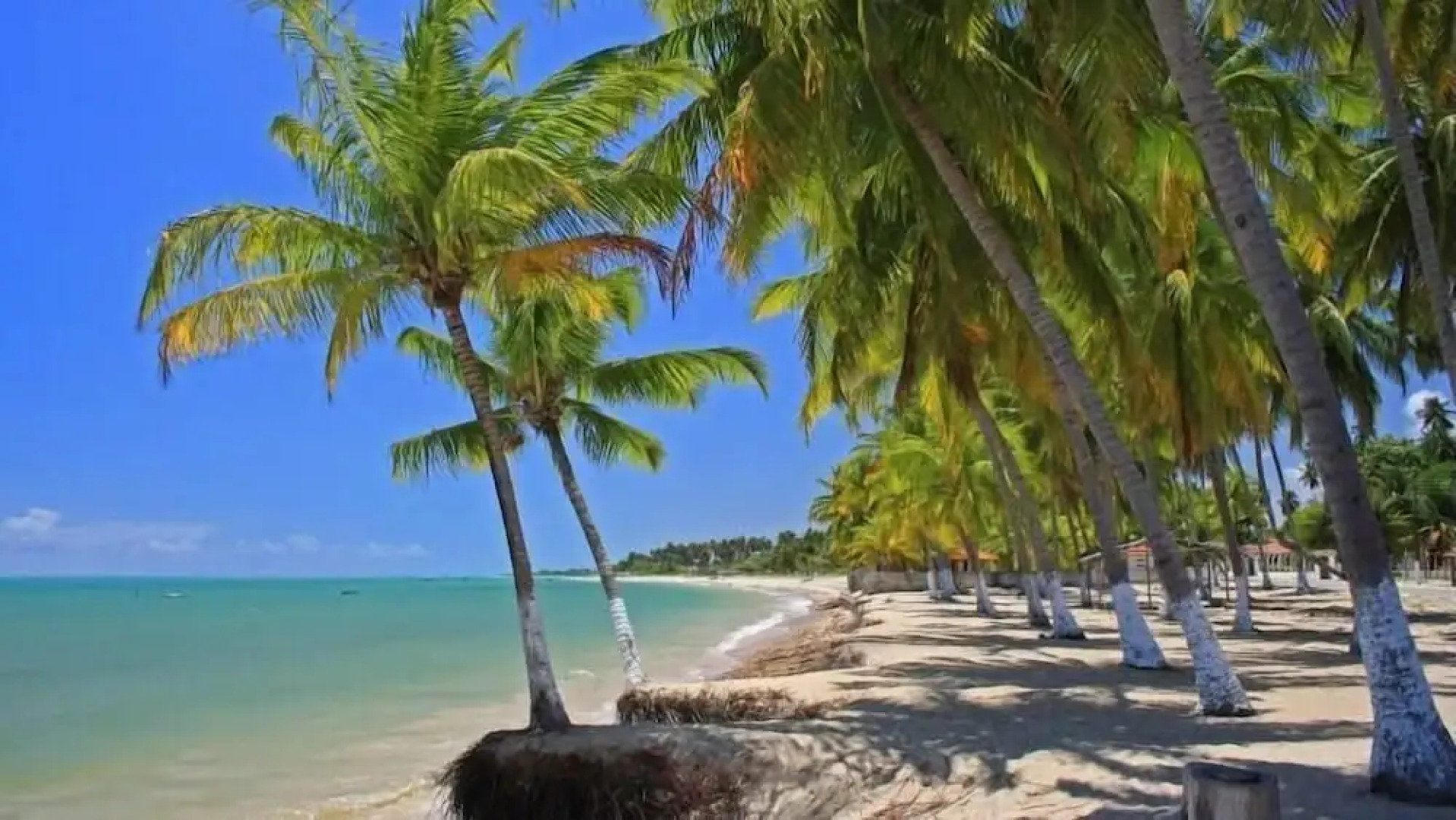 Hostel Pousada Flor de Paris