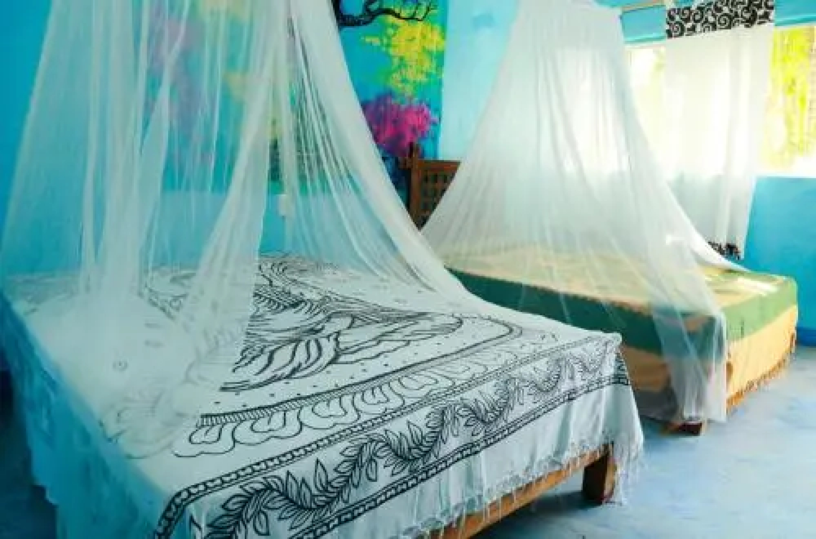 Centro Holistico Mistico Luz Azul Amatlan