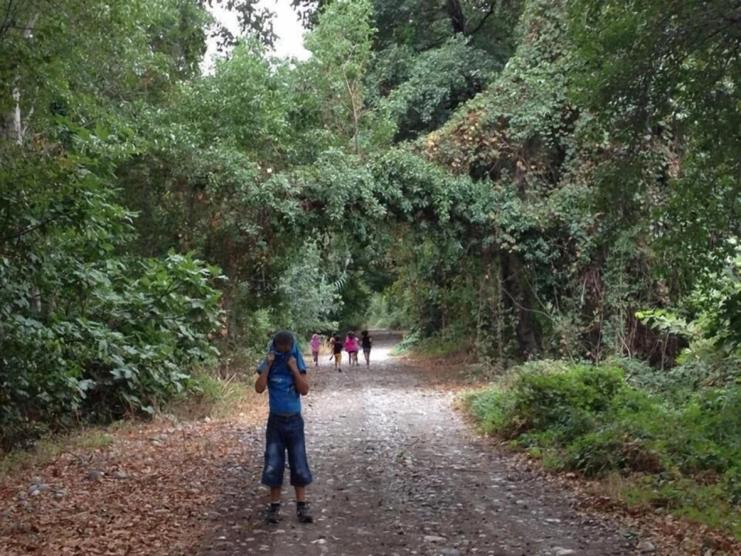 Yesil Bahce Bungalow - Ahsap Evler