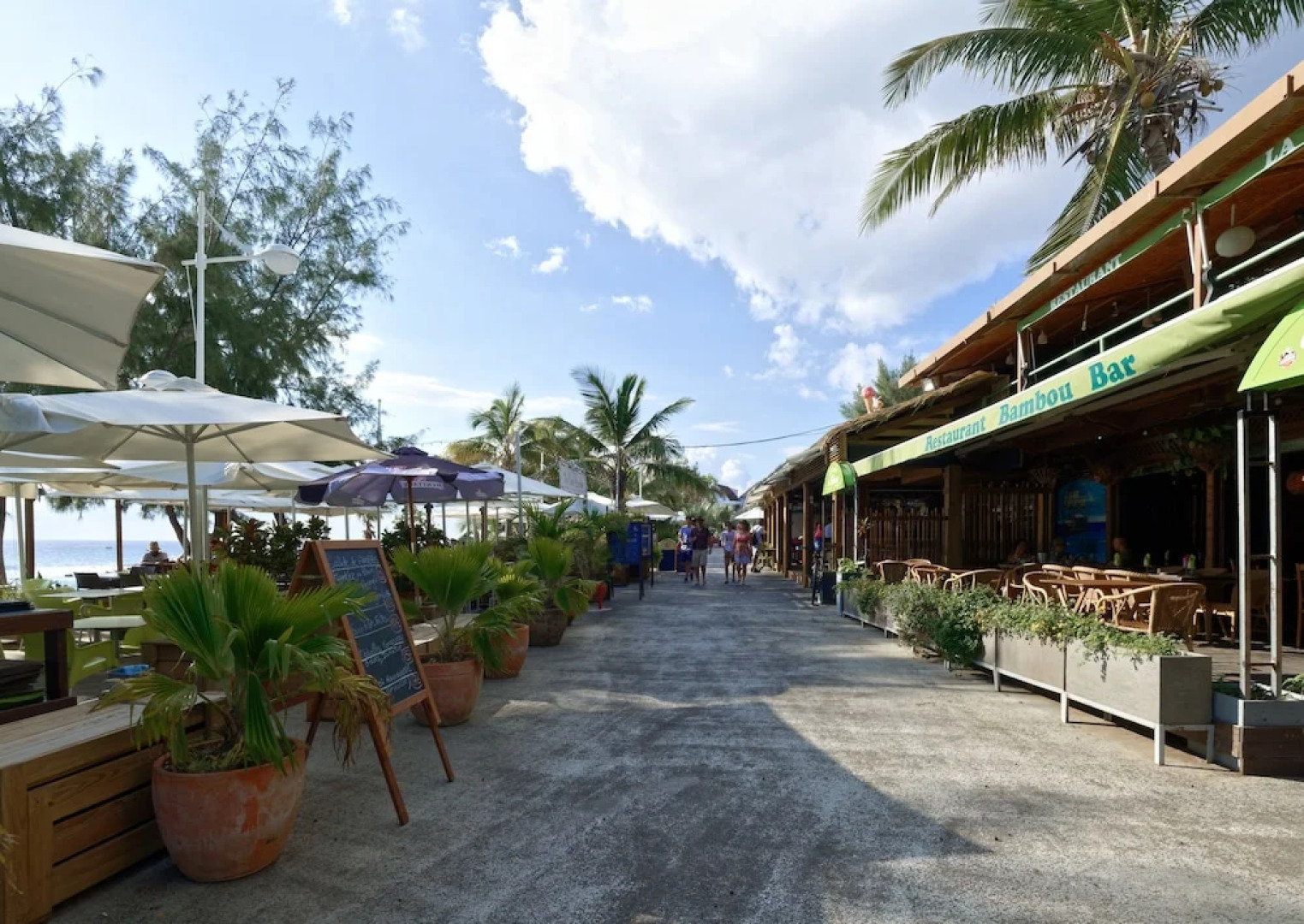 Appartement La Croisiere Bleue