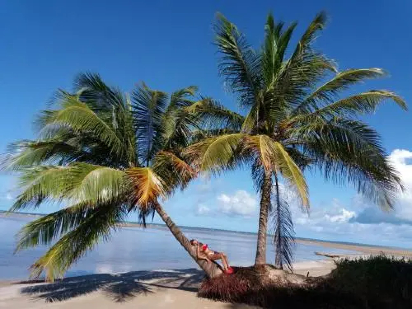 Bicho Caramelo Hostel & Bar