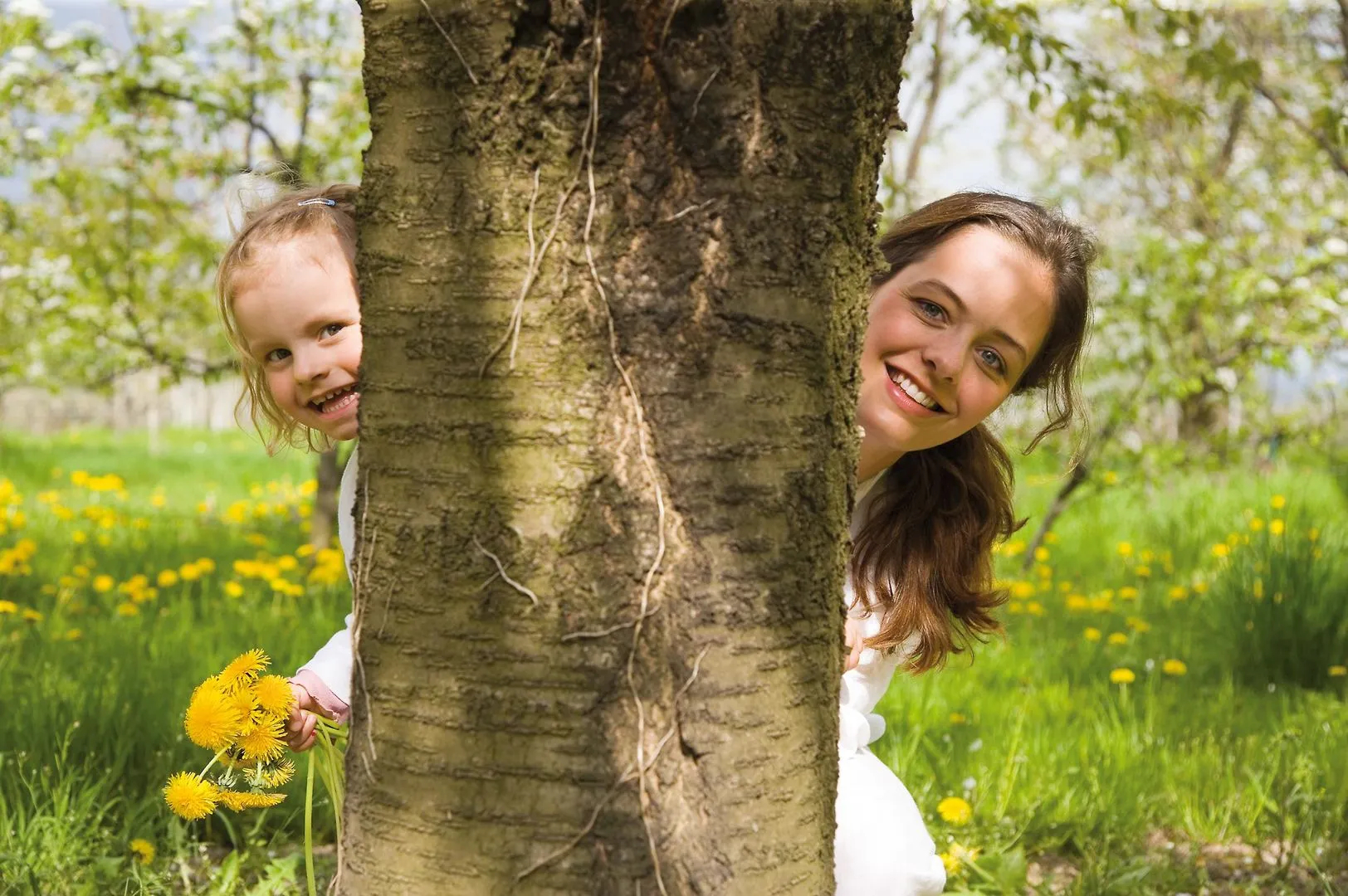Ringhotel Bömers Mosellandhotel