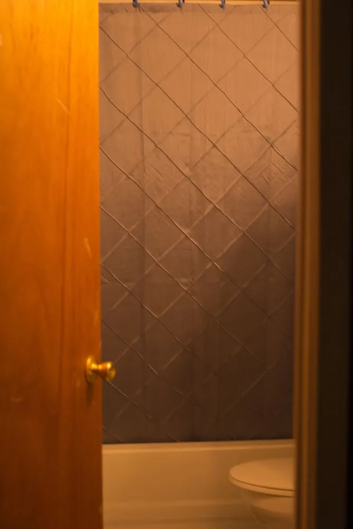 The Botticelli Club - Classic