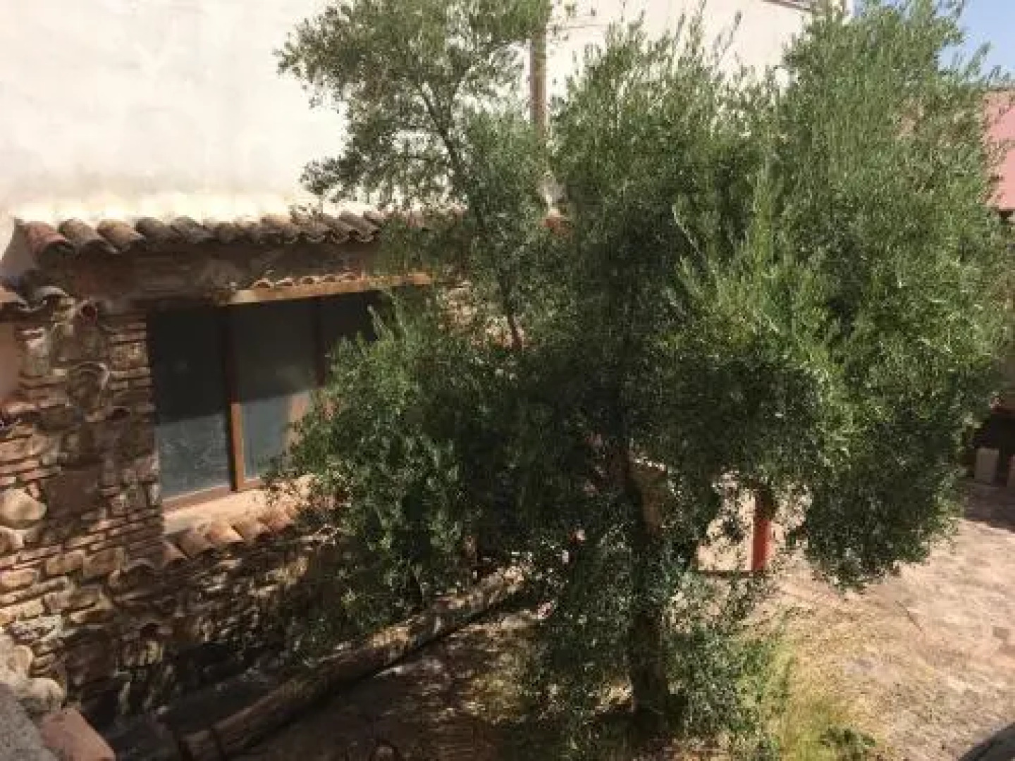 Apartahotel Don Juan-El Olivar de Segura