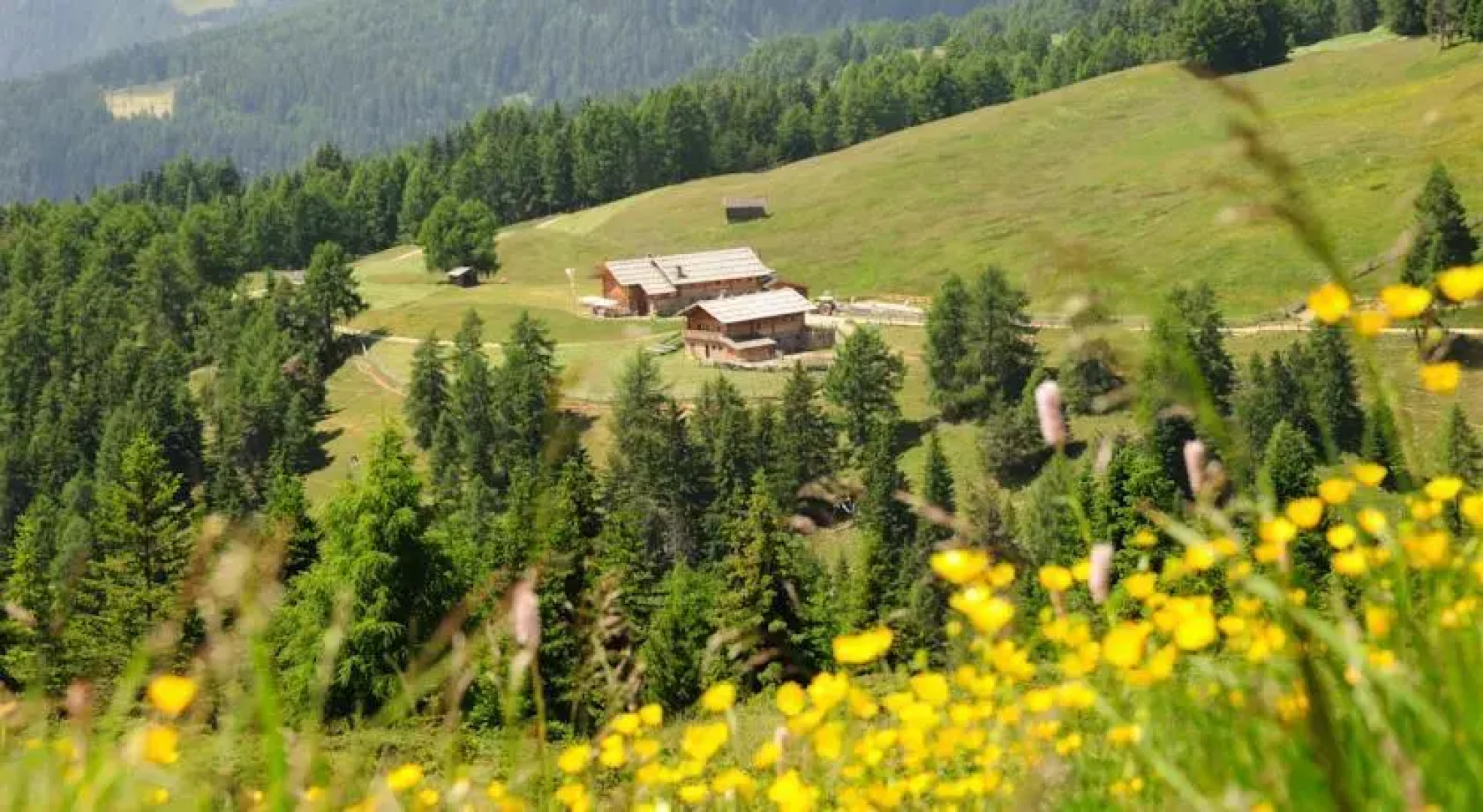 Schutzhütte Kreuzwiese