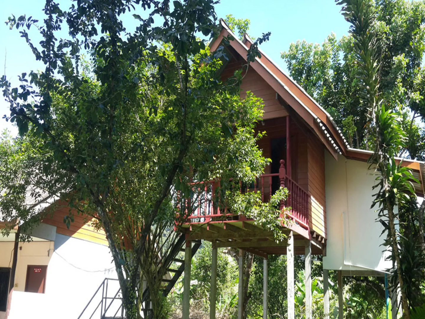 Khao Sok Jungle Huts