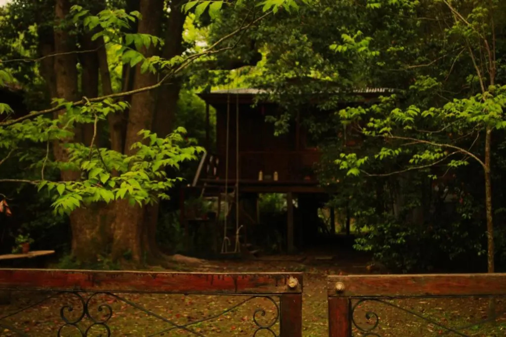 Cabaña Los Alcanfores