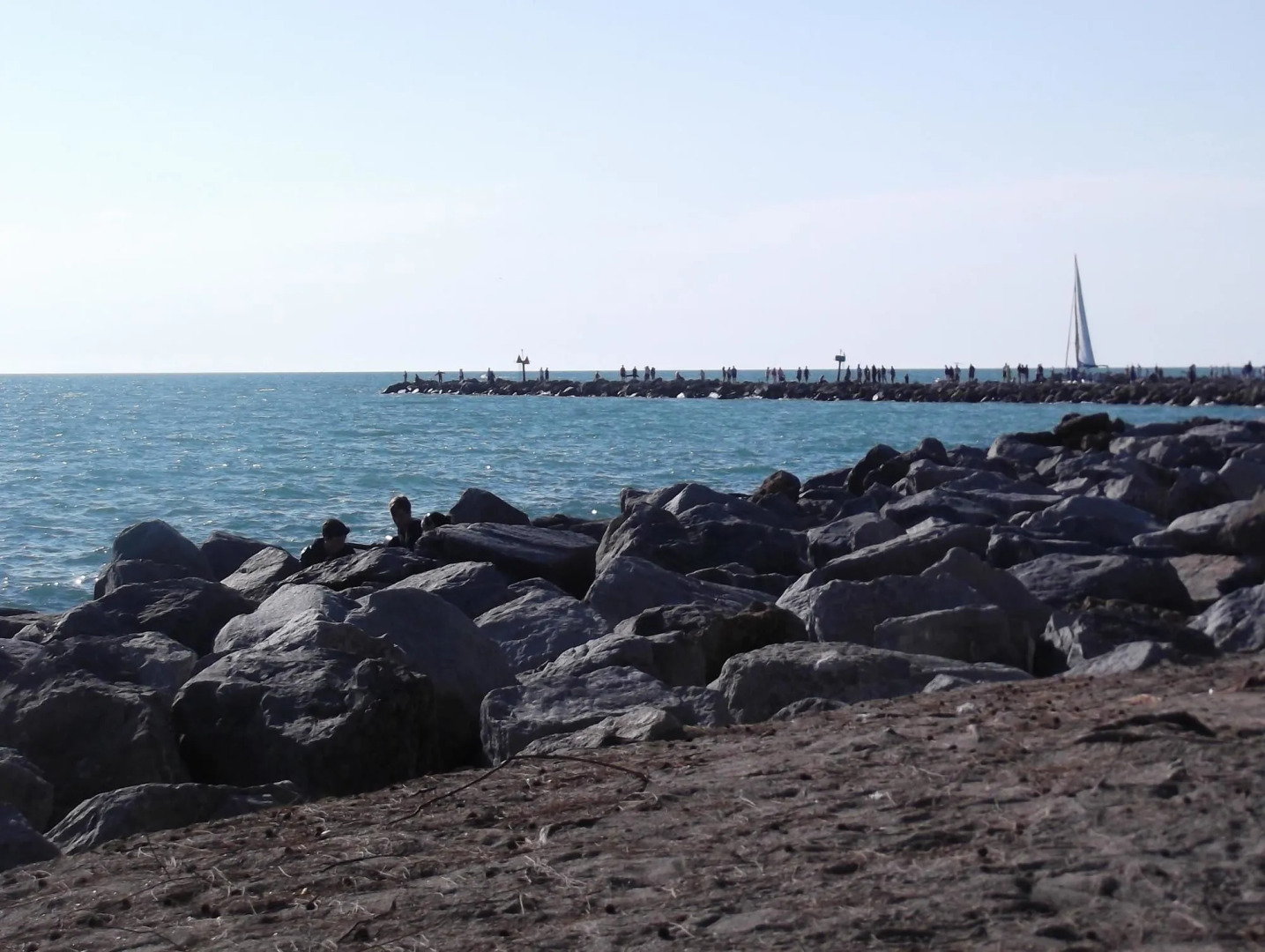 Best Western Plus Ambassador Suites Venice