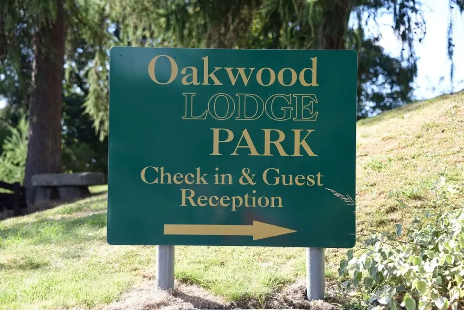 Tawny Owl Lodge