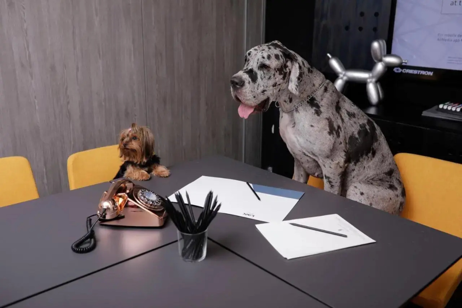 Link hotel & Hub By Dan Hotels