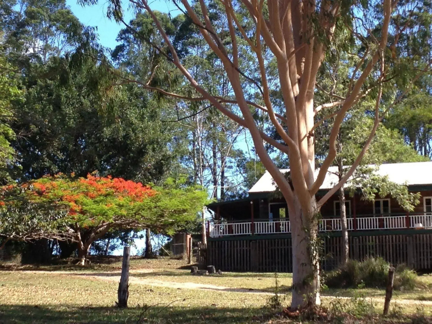 Отель Noosa Pomona Retreat