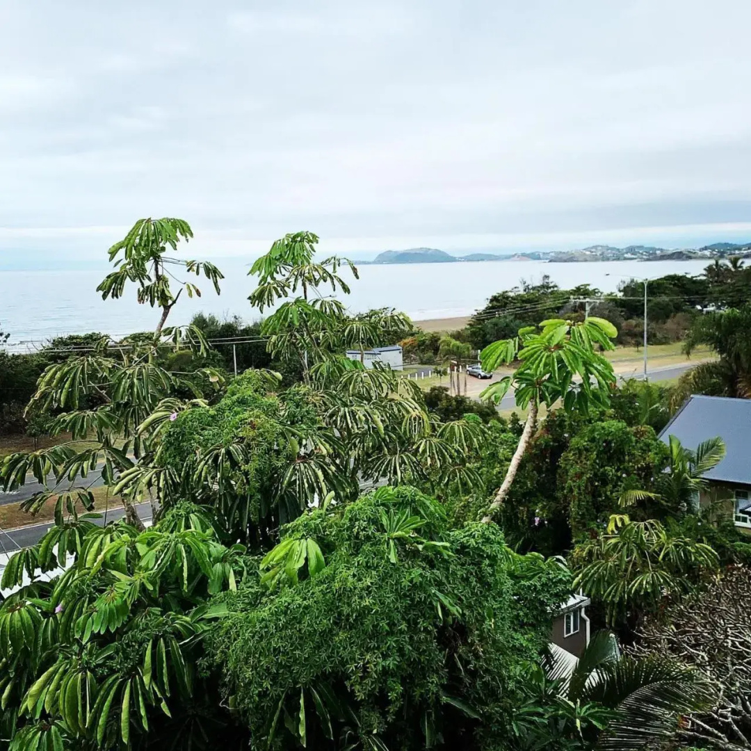 Island Views Accommodation