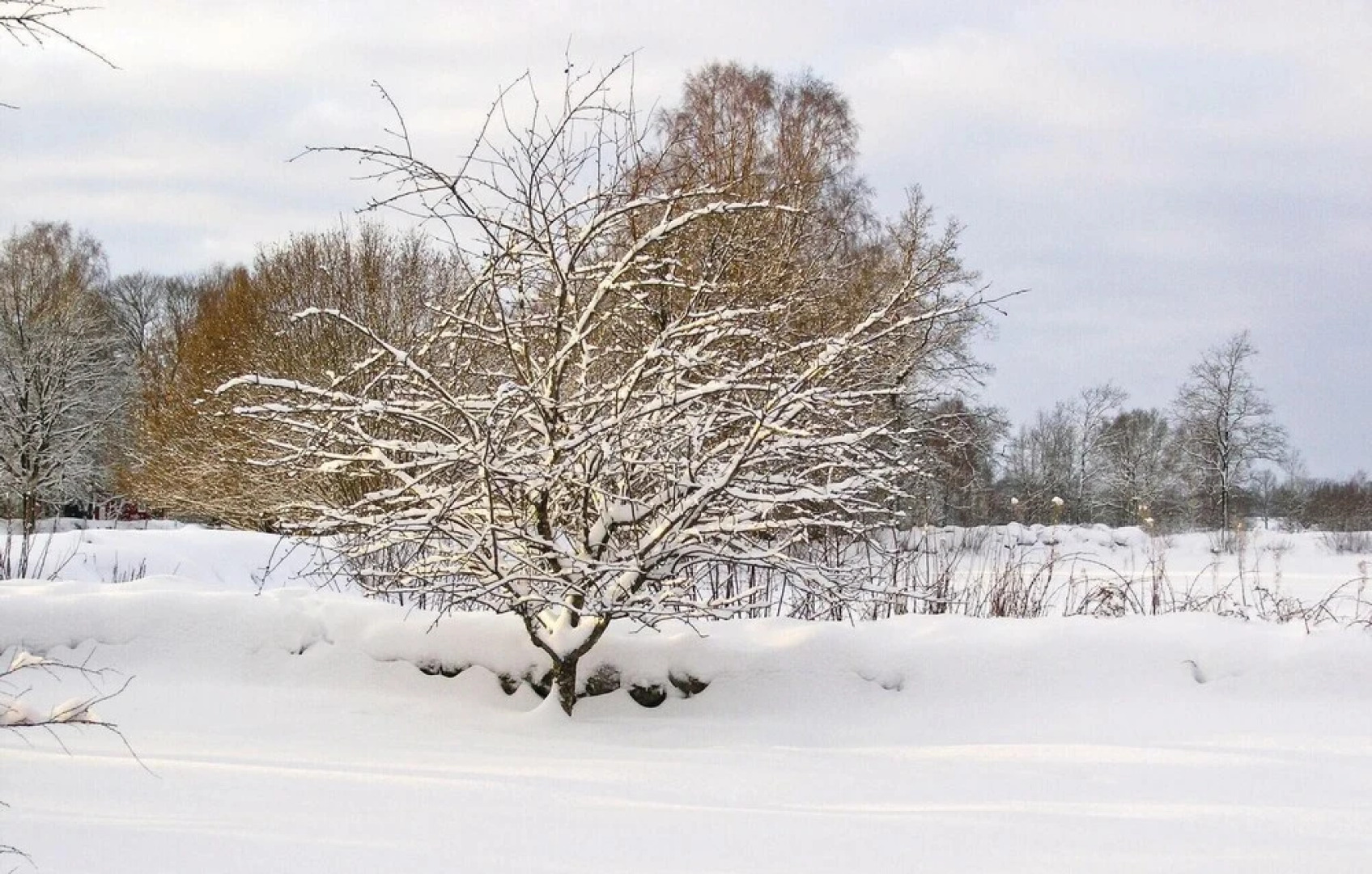 Beautiful Home in Vittaryd With 3 Bedrooms and Wifi