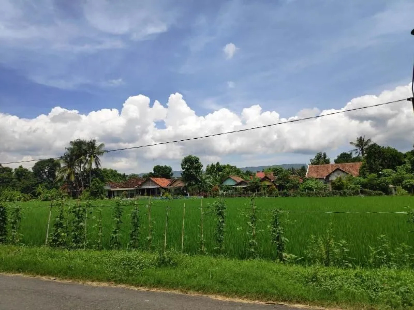 Sardi Homestay by ZUZU