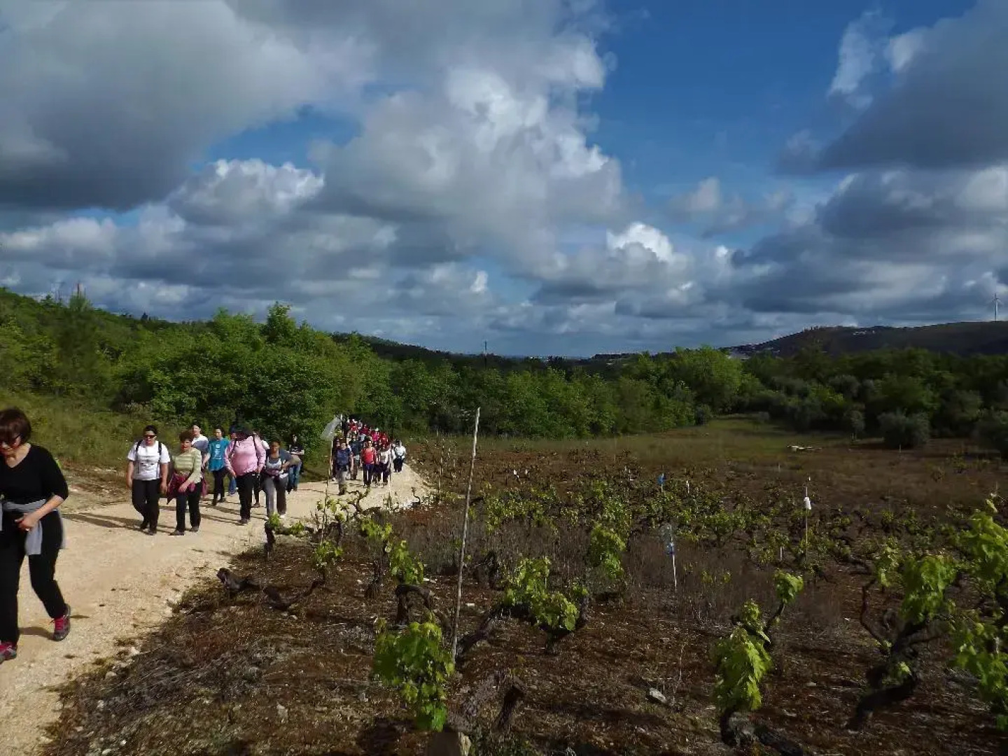 Casa Ceedina B&B & Beauty