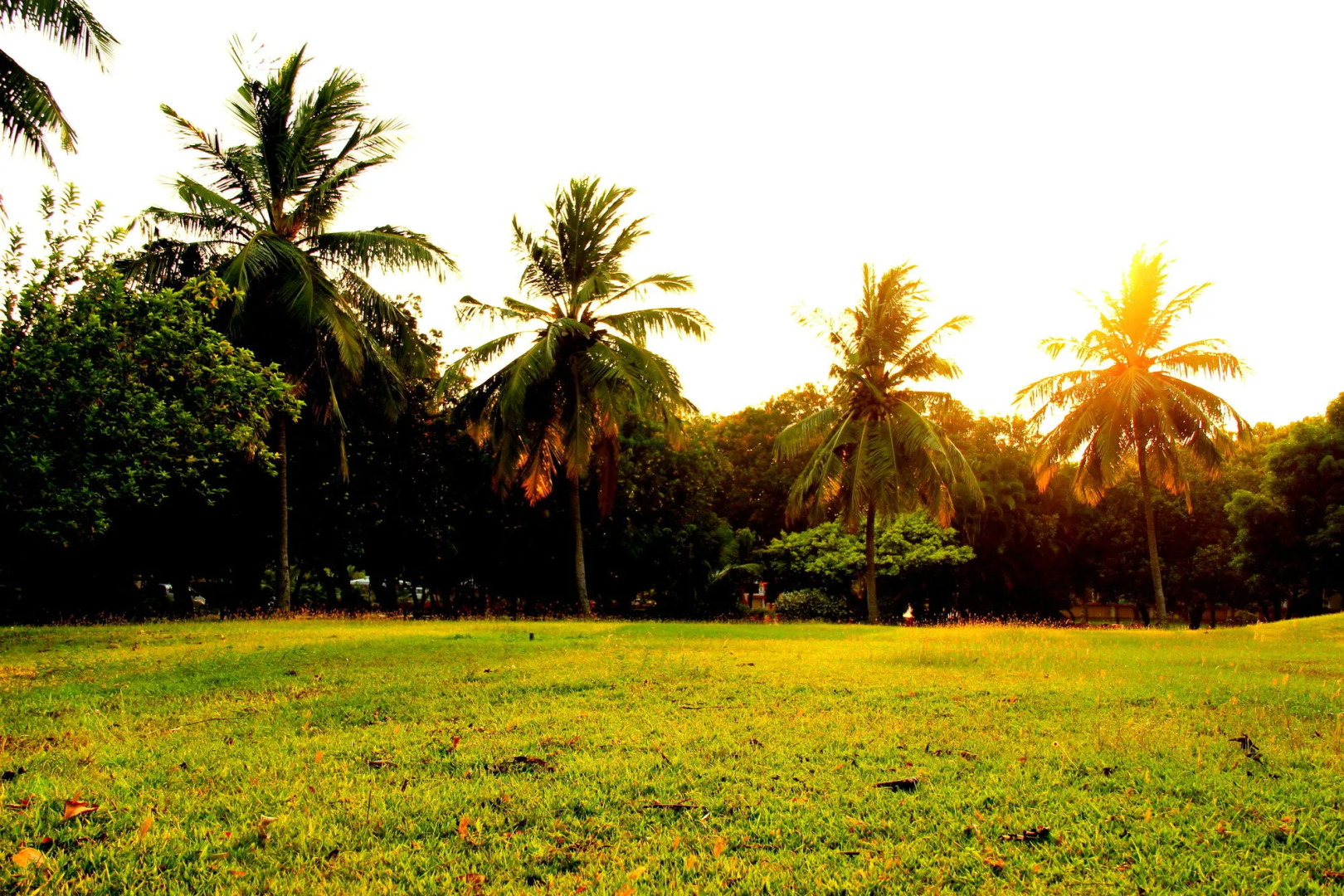 VGP Golden Beach Resort