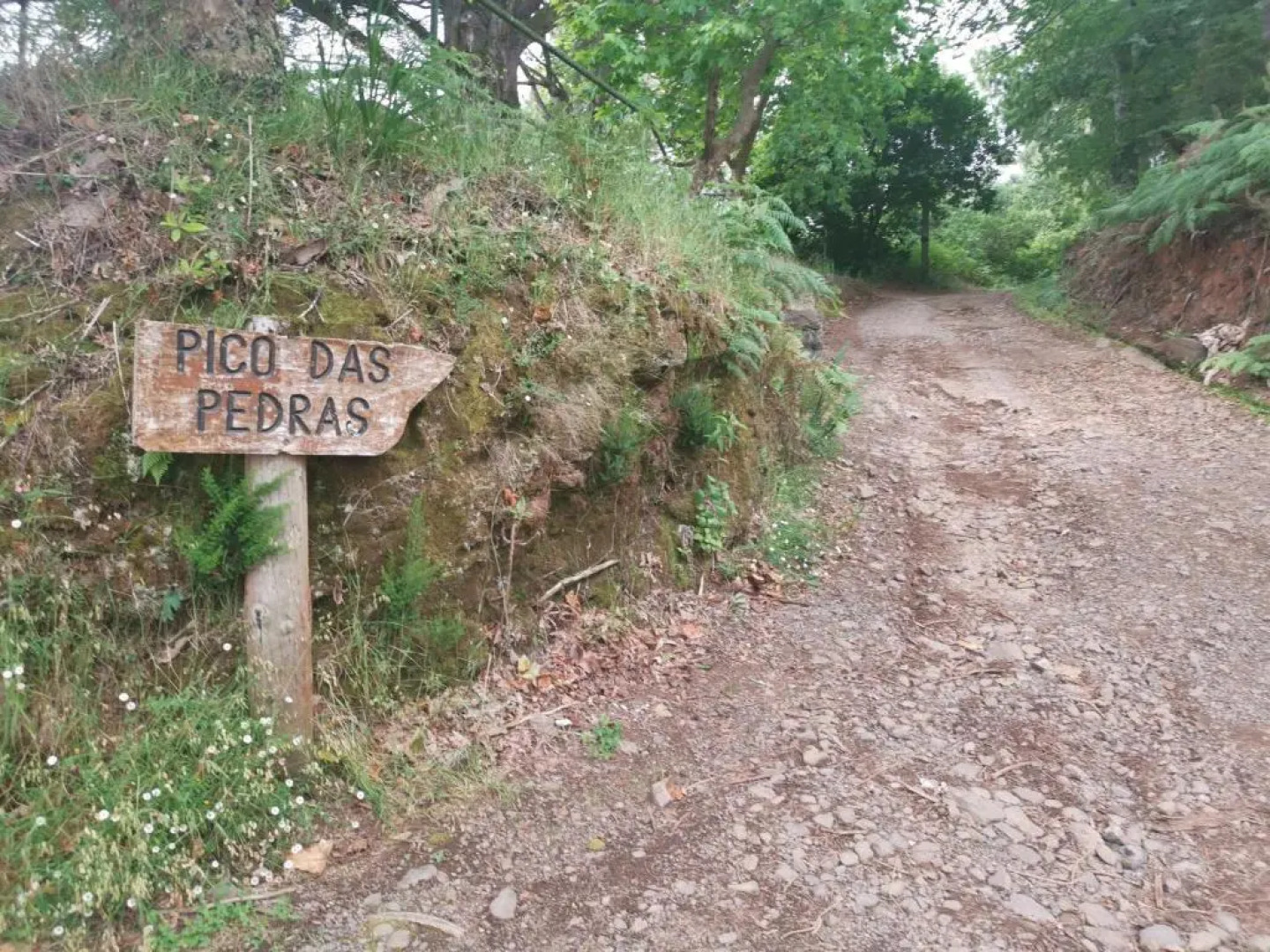 Santana in Nature Bed & Breakfast