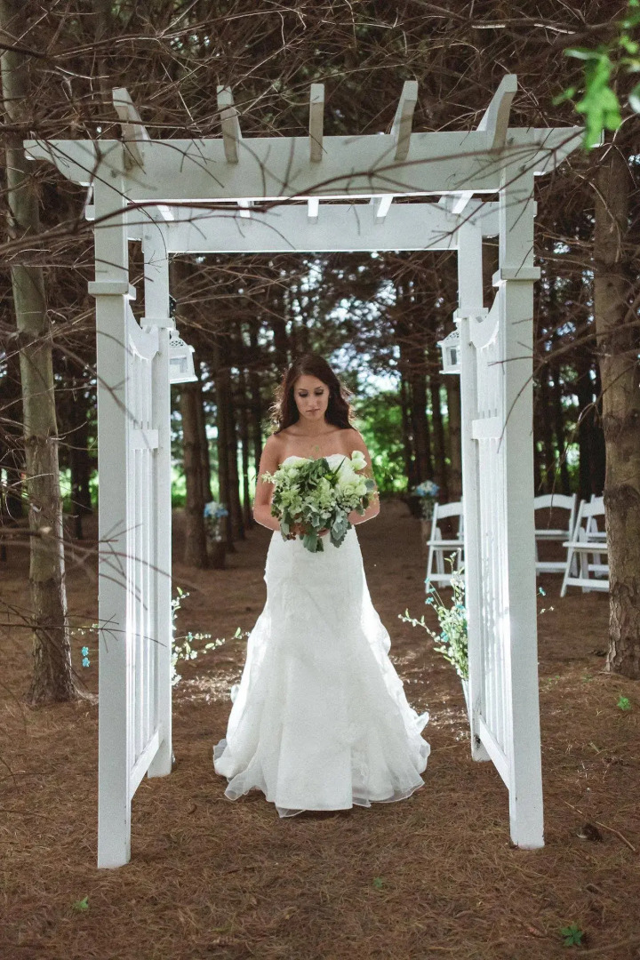 Orchard House Bed and Breakfast