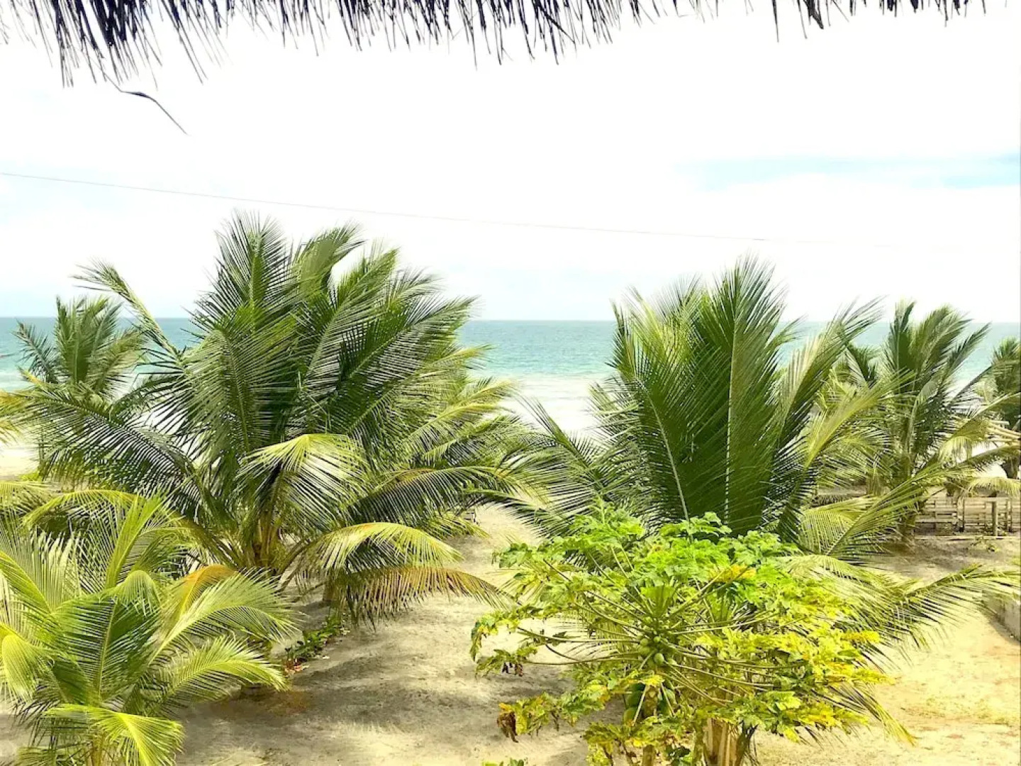 Seaside Garden Lodge Mompiche