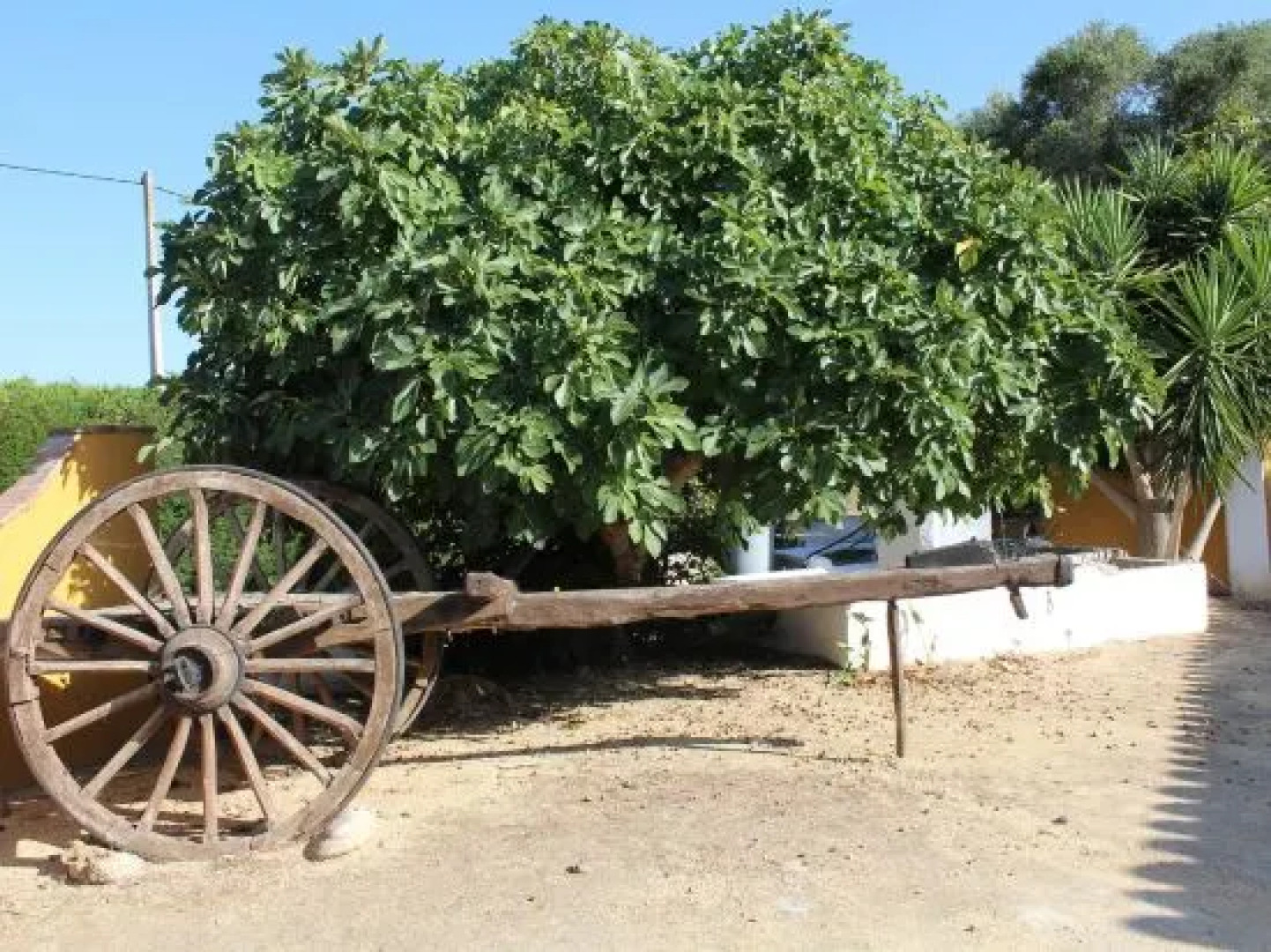 Hacienda los Majadales