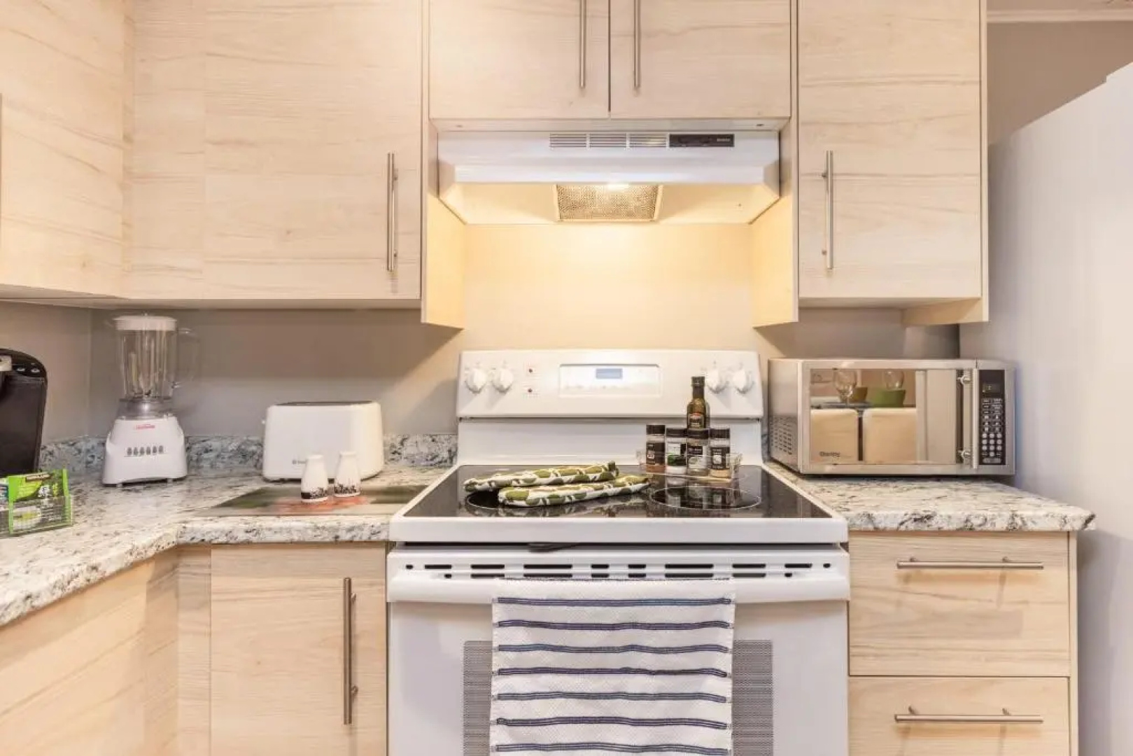 1BR Apartment w King Bed Near Downtown Ottawa