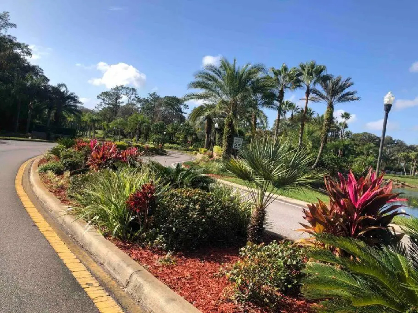 “A little Piece of Paradise” New Condo