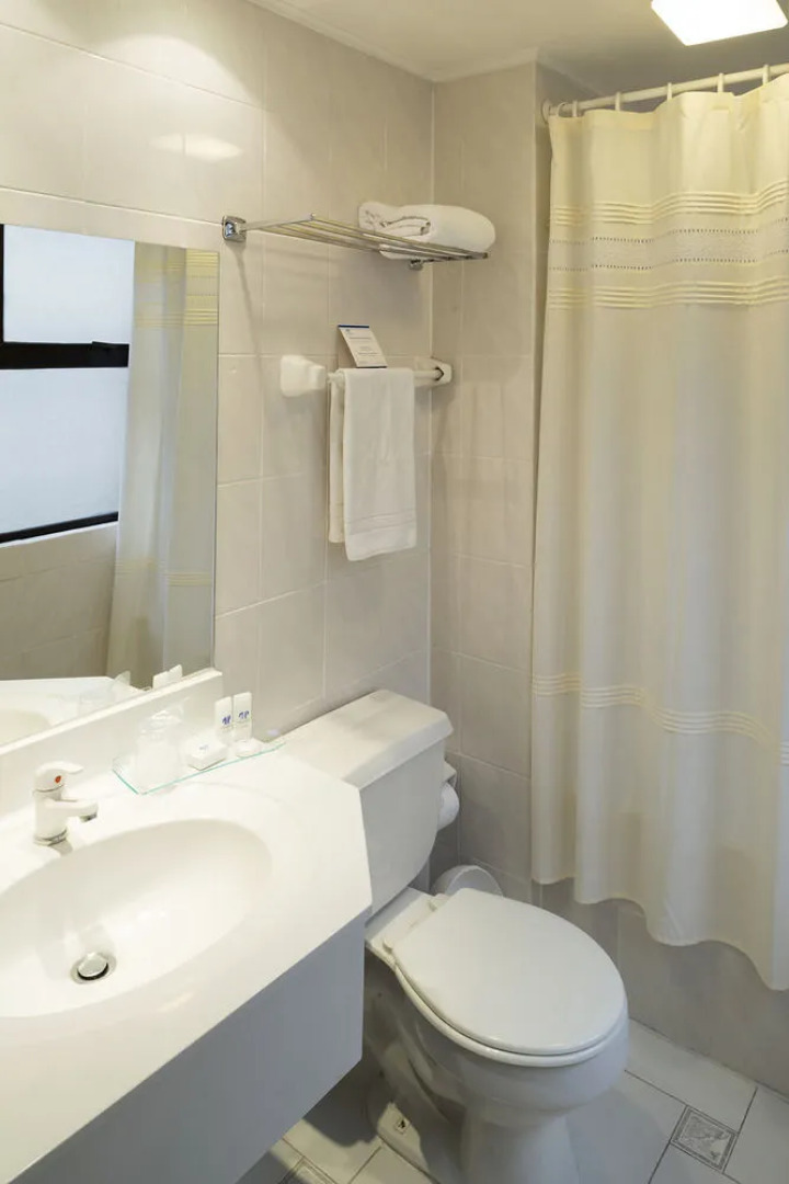 Presidente Suites Concepción