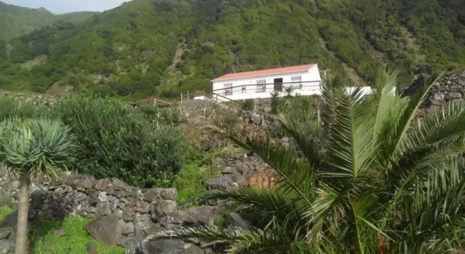 Ponta do Paraíso