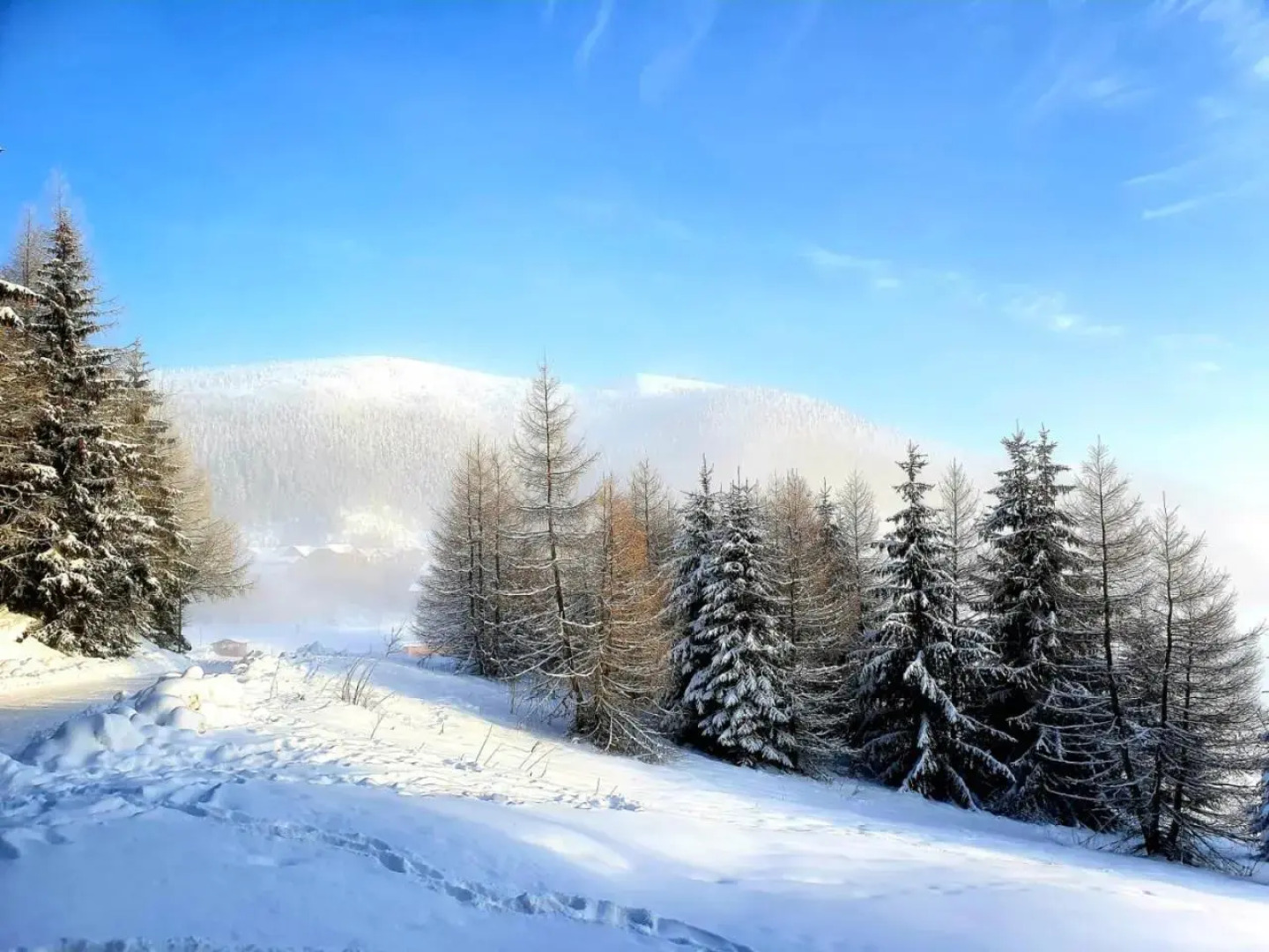 Apartmanica Triangel 103