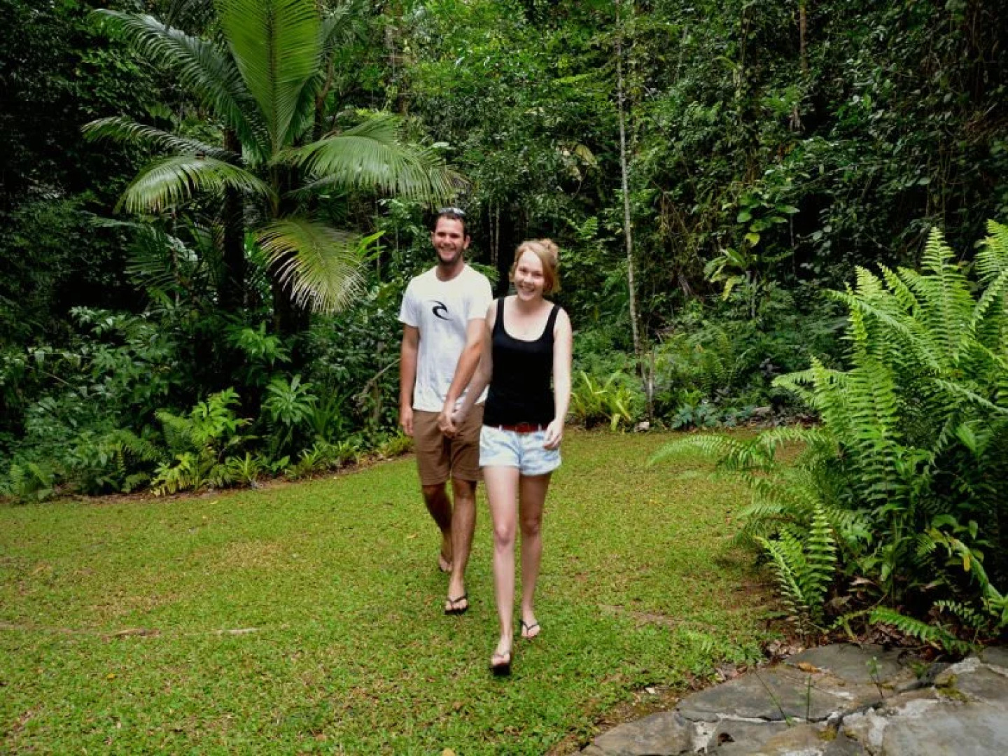 Daintree Deep Forest Lodge
