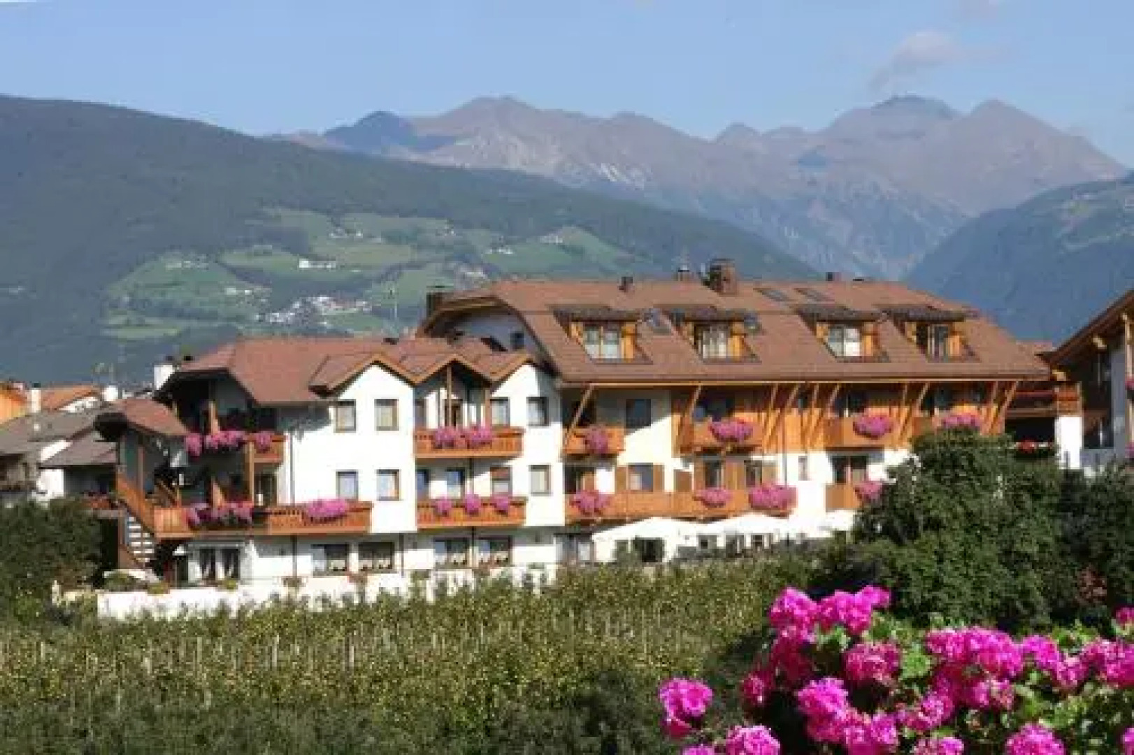 Hotel Ploseblick