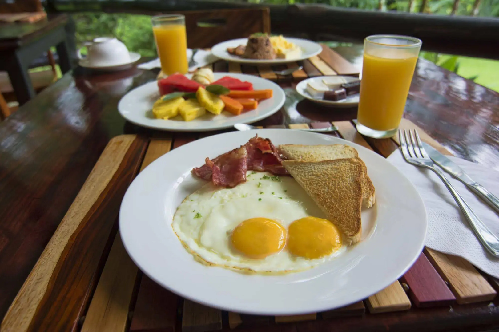 Chachagua Rainforest Hotel & Hot Springs