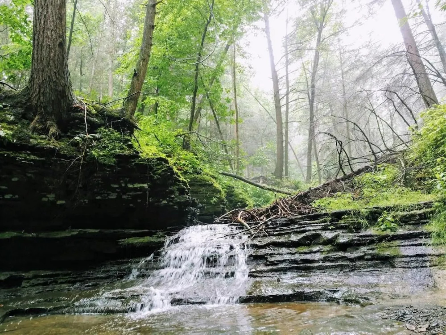 Tentrr - Home Sweet Campsite Two