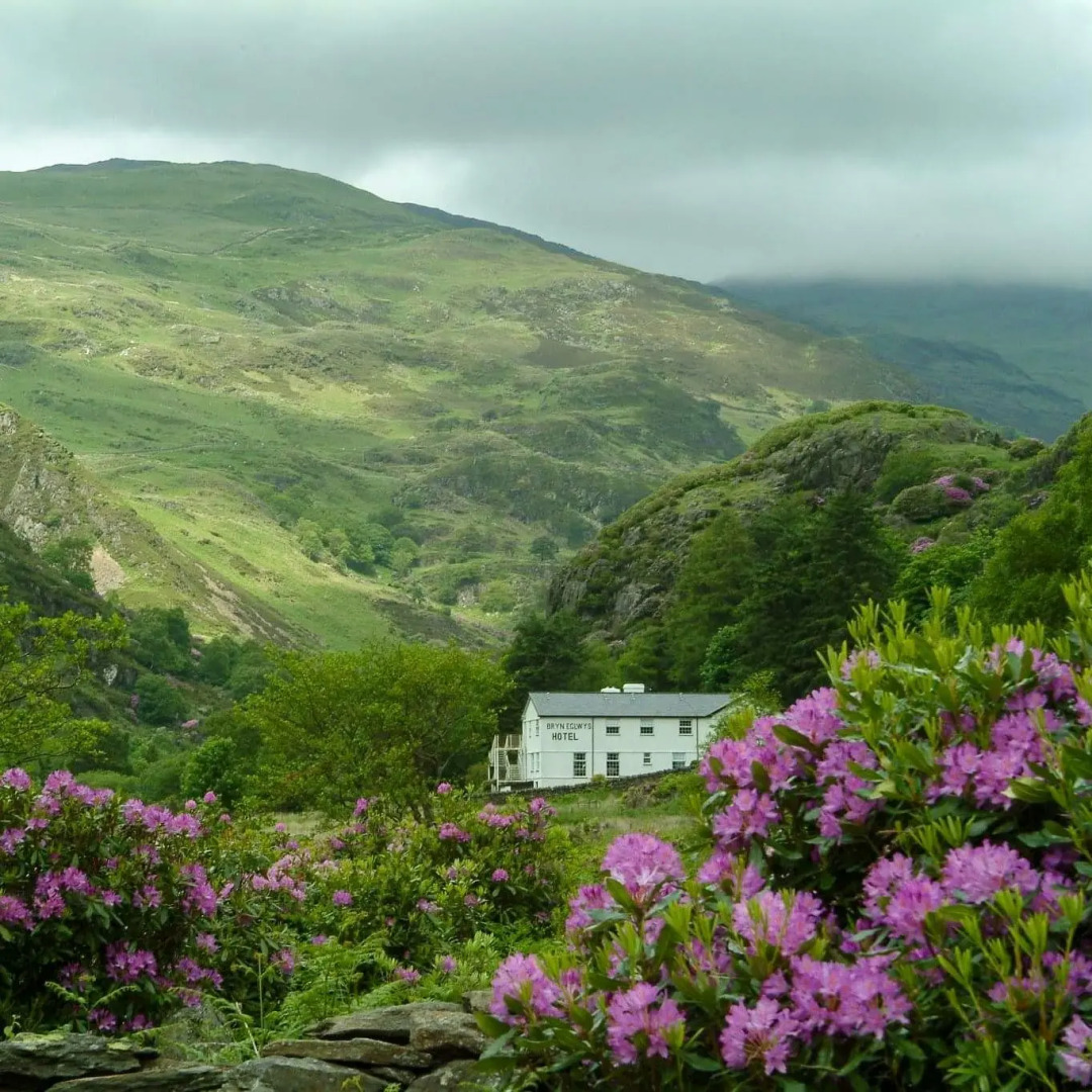 Bryn Eglwys Hotel