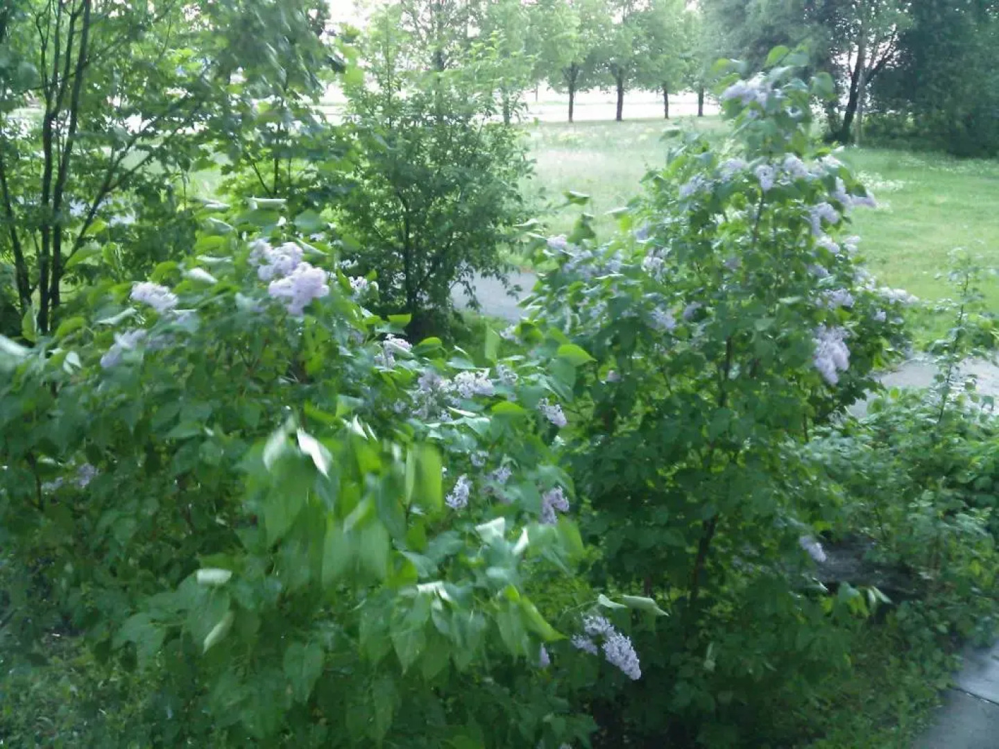 A comfortable 18m room with balcony