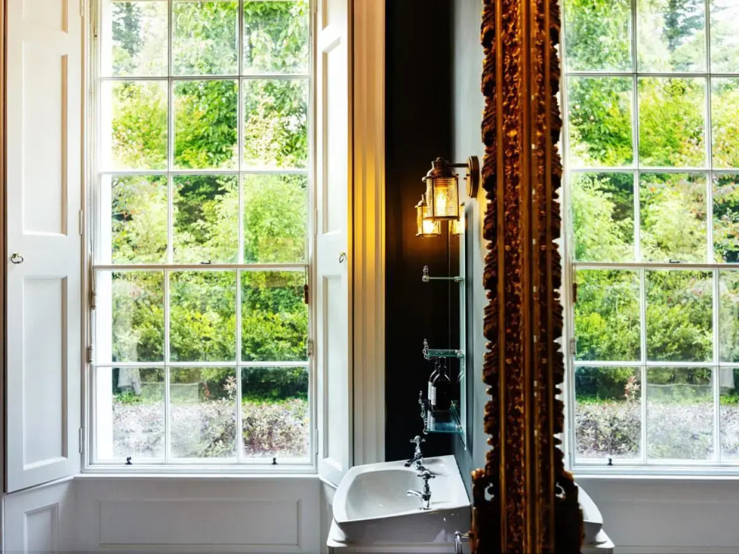 The Forest at Mount Congreve Gardens