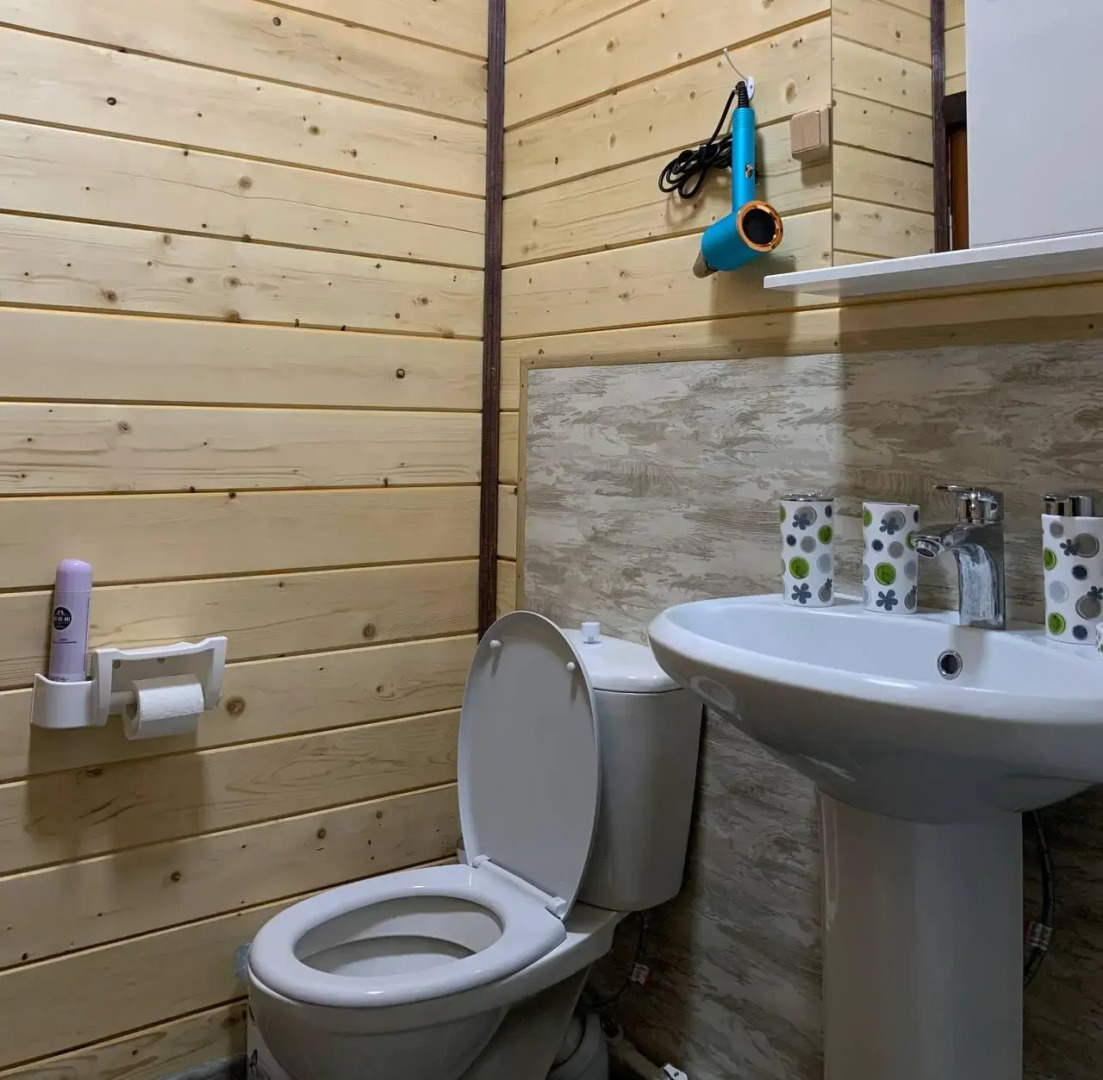 Дом Петровича